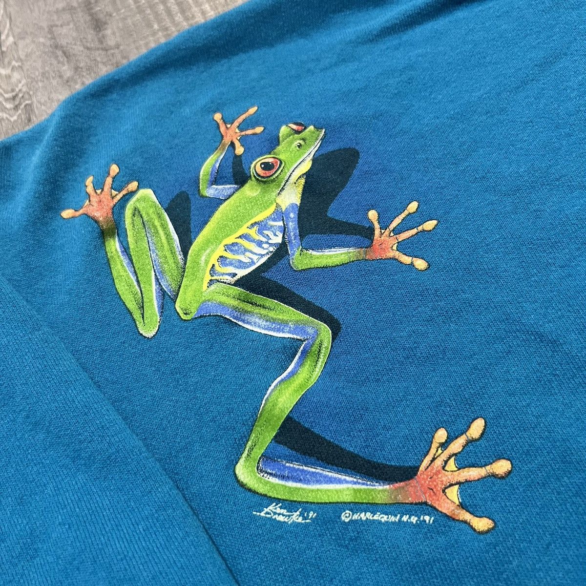 Hanes × Vintage Vintage Tree Frog 1991 Rainforest Art Animal Sweatshirt Size US XL / EU 56 / 4 - 4 Thumbnail