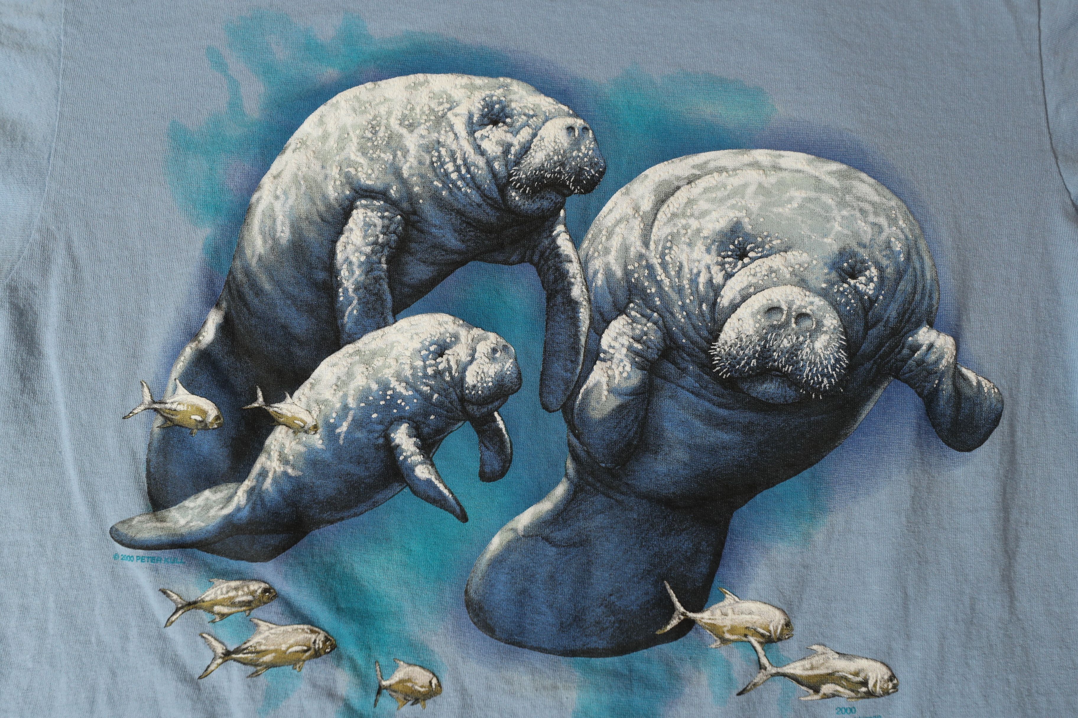 Vintage The Printed Image 2000 Chico Manatee Tee (L) Size US L / EU 52-54 / 3 - 4 Thumbnail