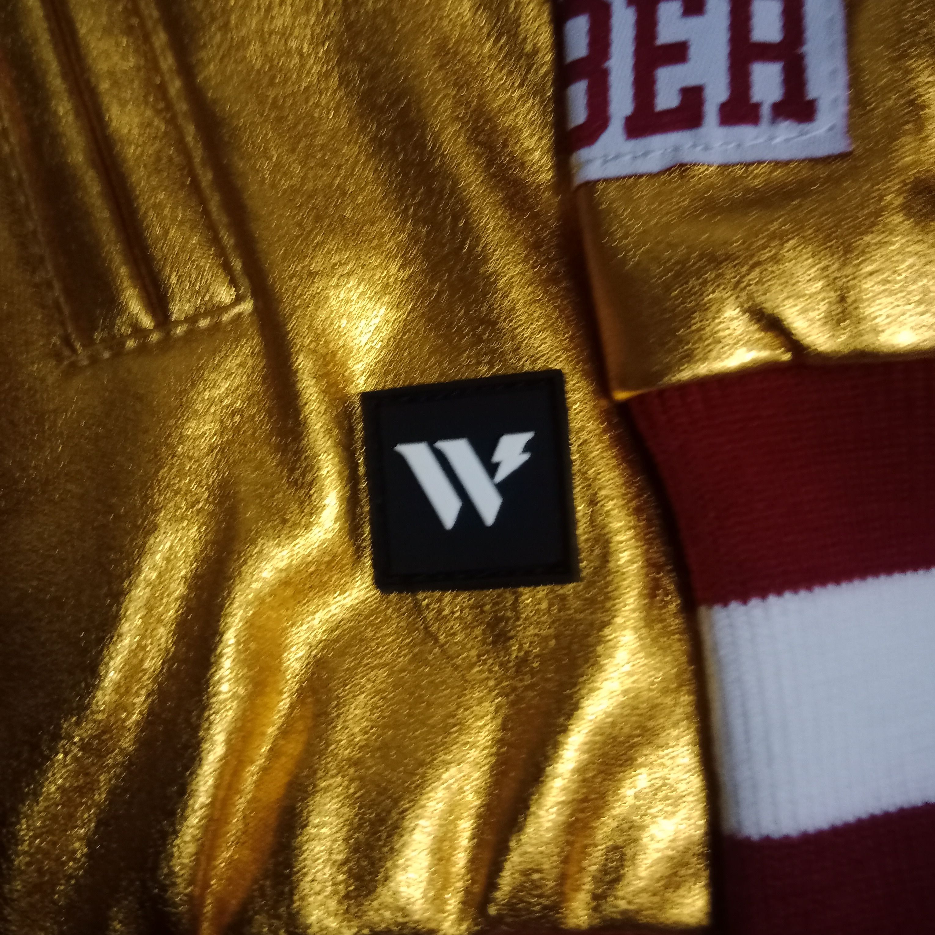 The Wild Collective San Francisco 49ers Bomber Jacket
