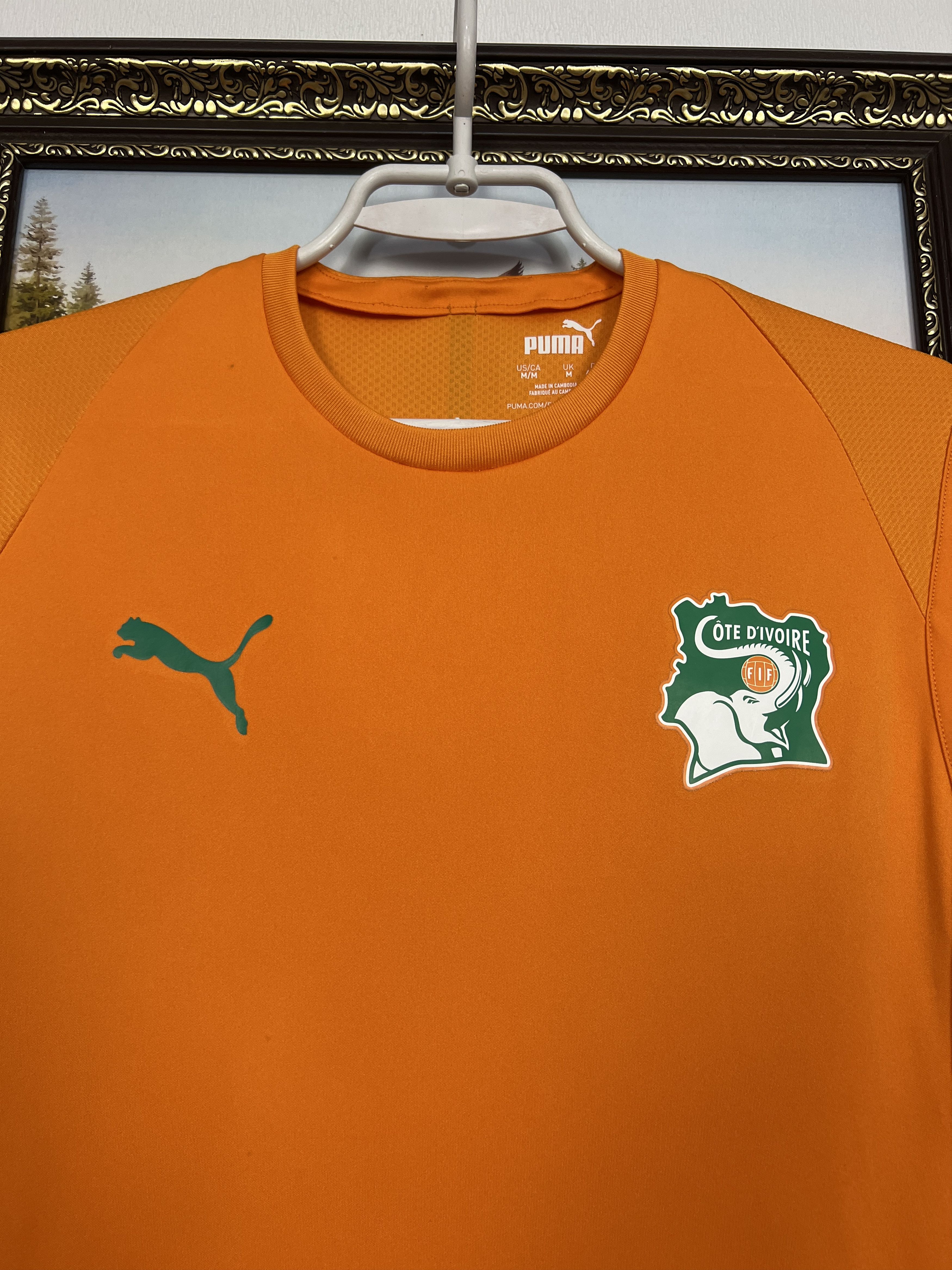 Puma Cote D'Ivoire Ivory Coast Football Vest Shirts Soccer Jersey Size US M / EU 48-50 / 2 - 3 Thumbnail