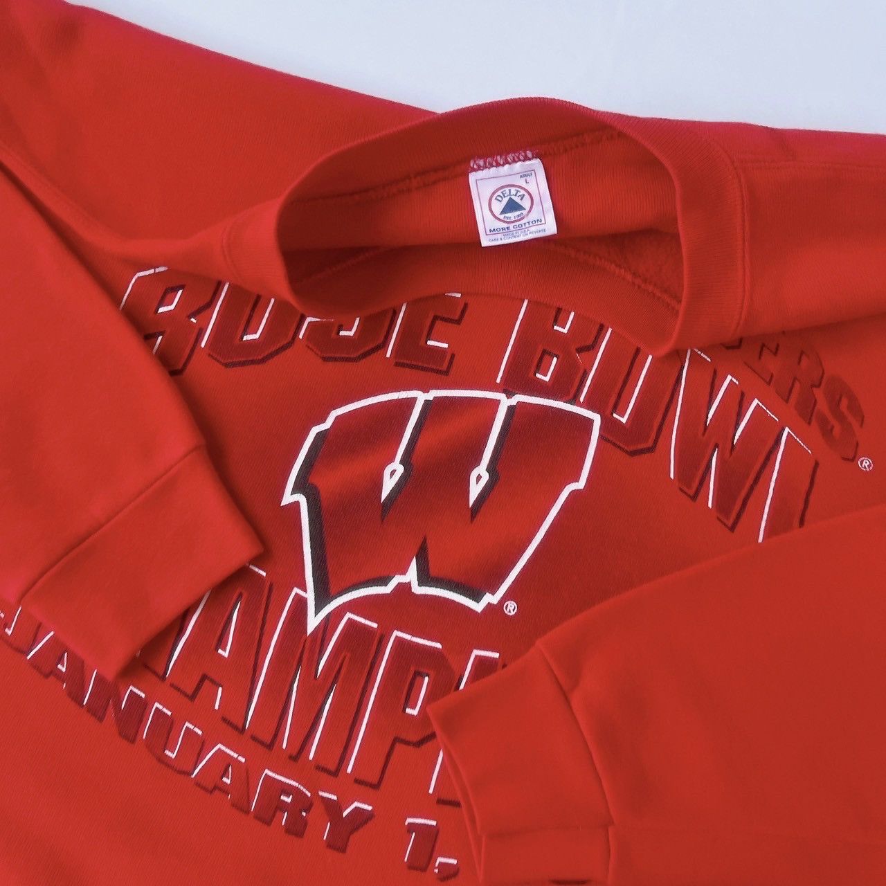 Delta × Vintage 90s Wisconsin Badgers UW sweatshirt/ L Size US L / EU 52-54 / 3 - 9 Thumbnail