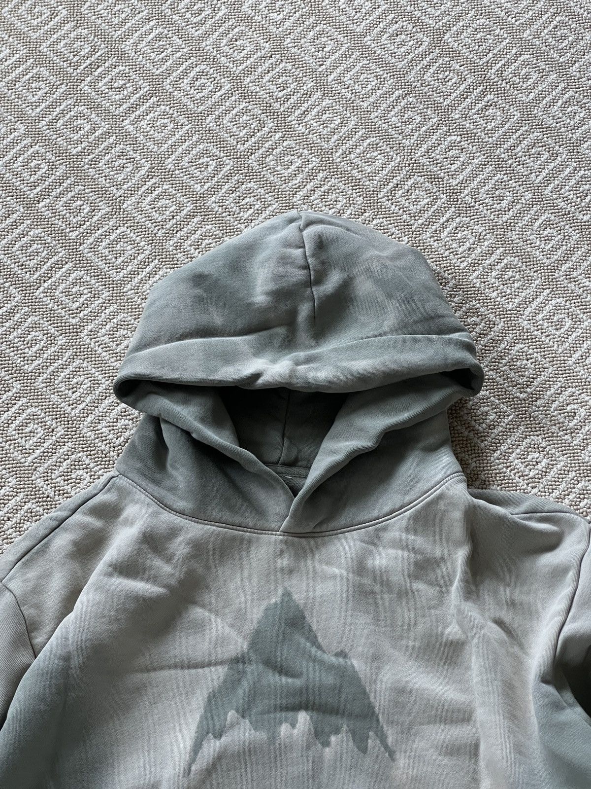 Burton × CNCPTS Sage Green French Terry Hoodie Size US M / EU 48-50 / 2 - 3 Thumbnail