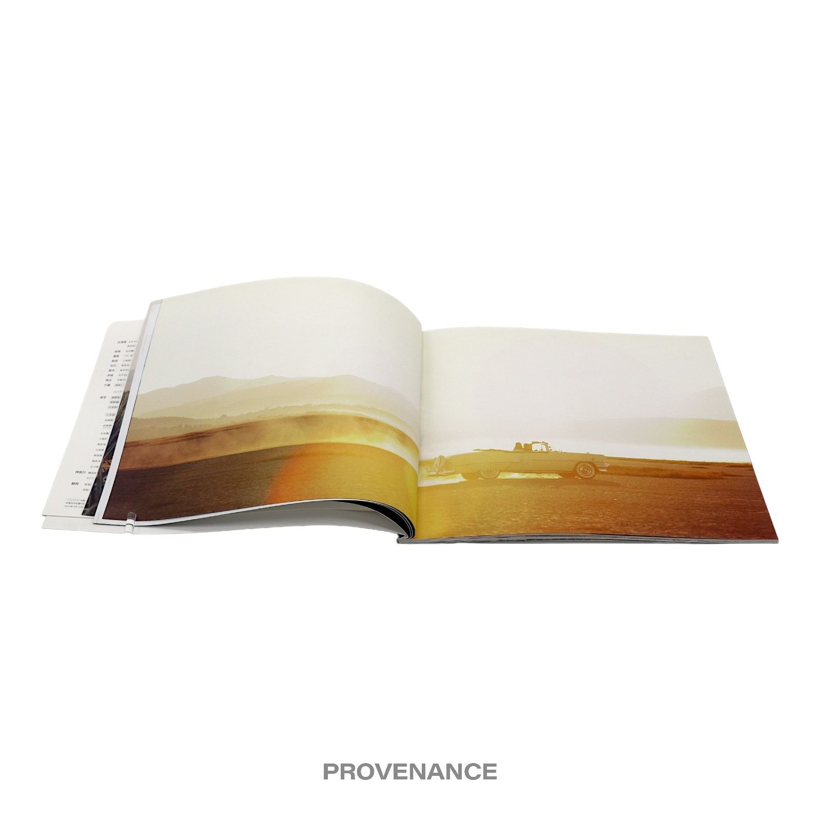 Louis Vuitton 🔴 Louis Vuitton "Lame Du Voyage" Travel Look Book Size ONE SIZE - 5 Thumbnail