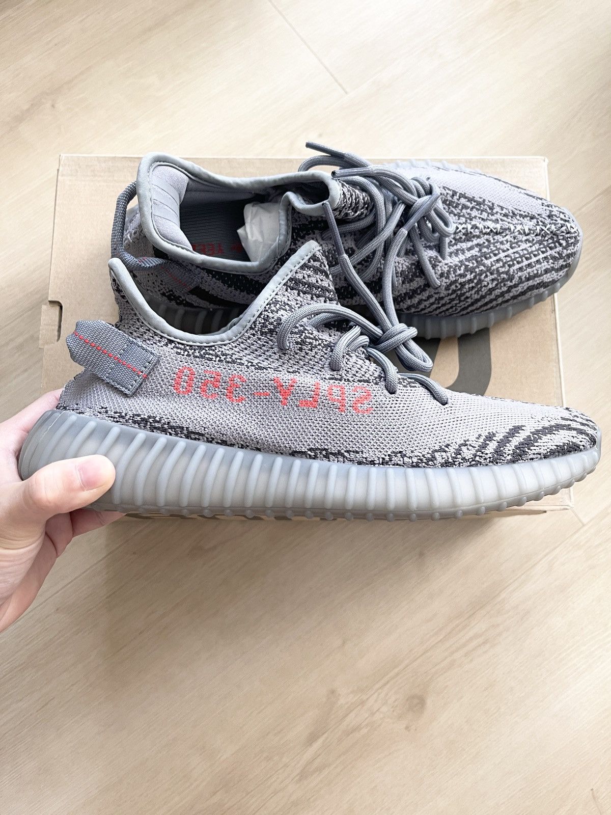 Beluga 2.0 stock numbers online