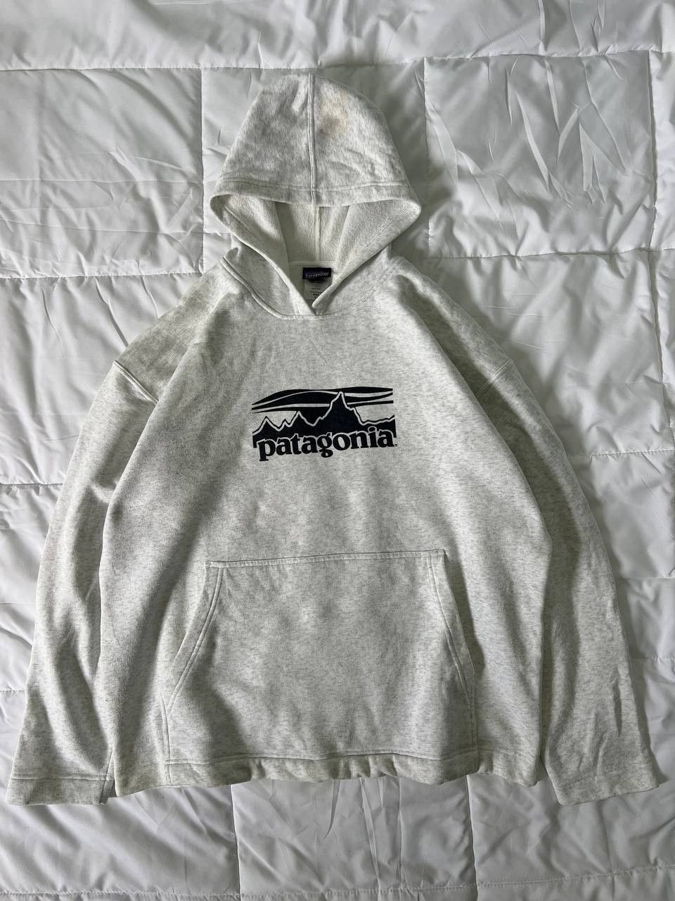 Patagonia Patagonia Big Logo Hoodie Size US L / EU 52-54 / 3 - 1 Thumbnail