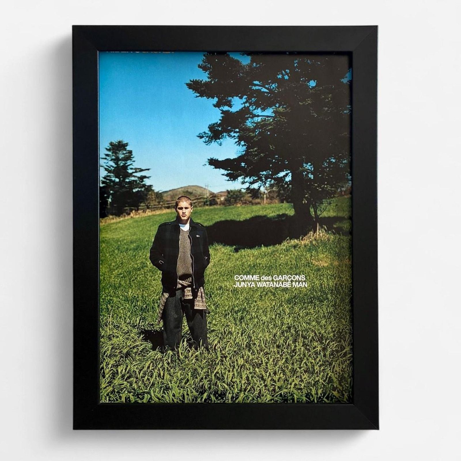COMME deS GARCONS Junya watanabe print framed poster 9x11