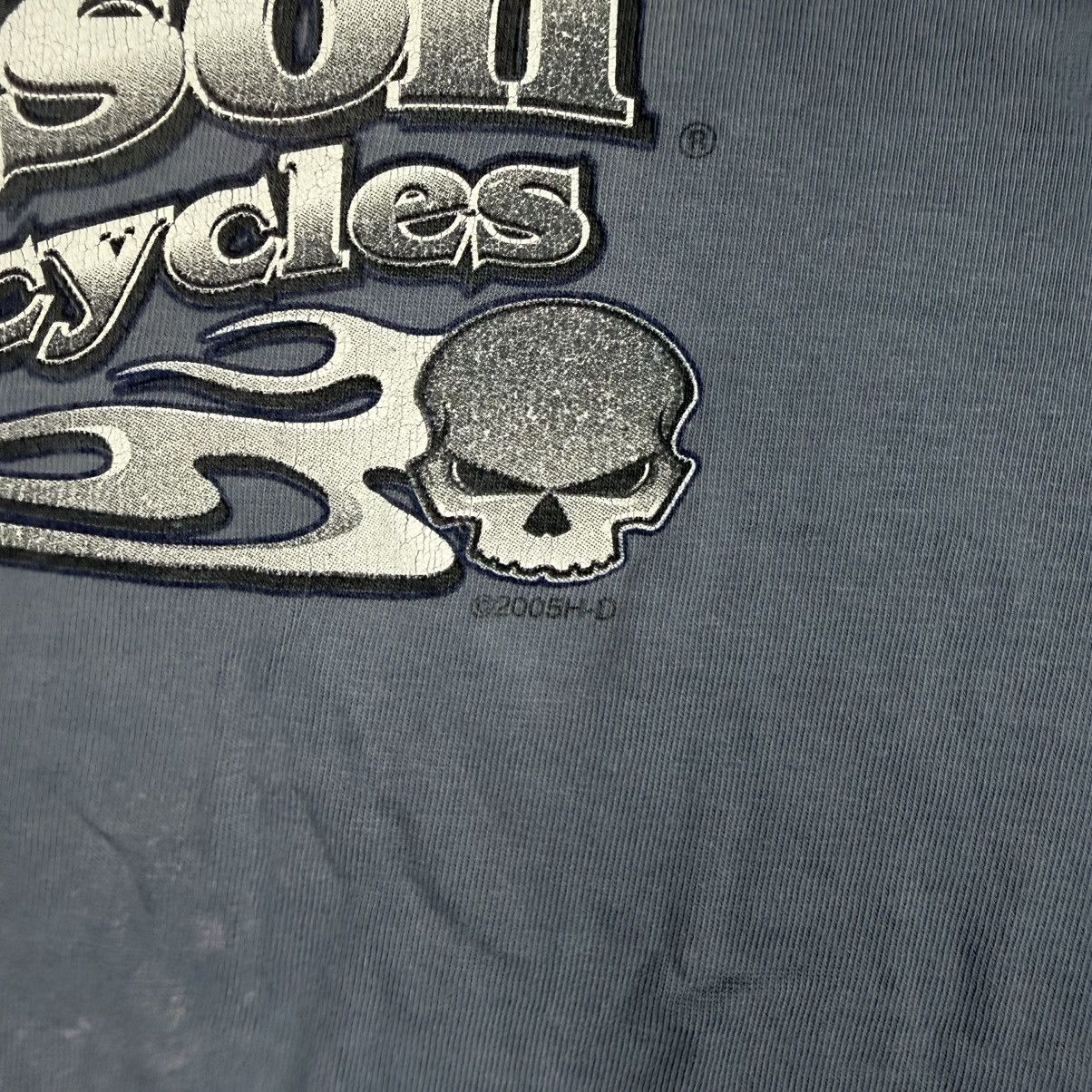 Harley Davidson Vintage Flames Skull Ashland Kentucky T Shirt Size US XXL / EU 58 / 5 - 3 Thumbnail