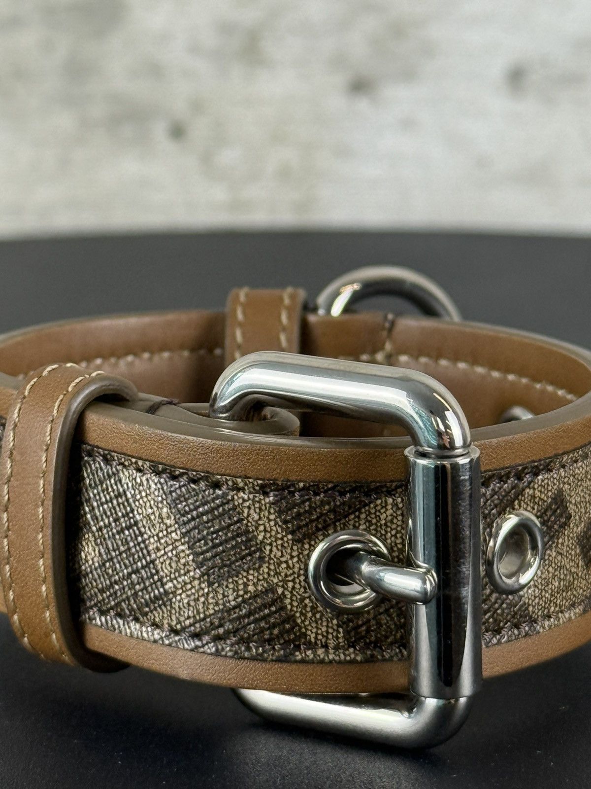 Fendi Dog Collar