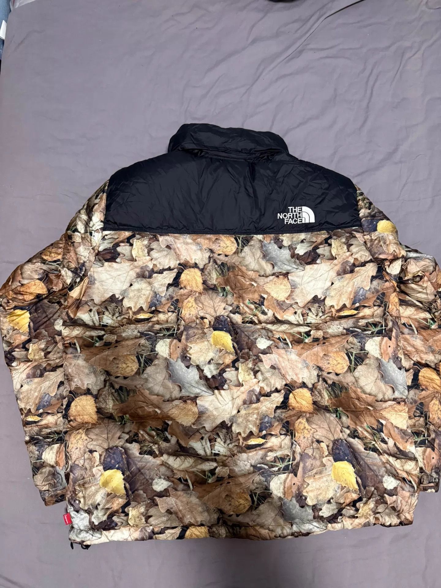 Supreme Supreme TNF Leaf Down Jacket XL Good Condition Rare Size US XL / EU 56 / 4 - 6 Thumbnail