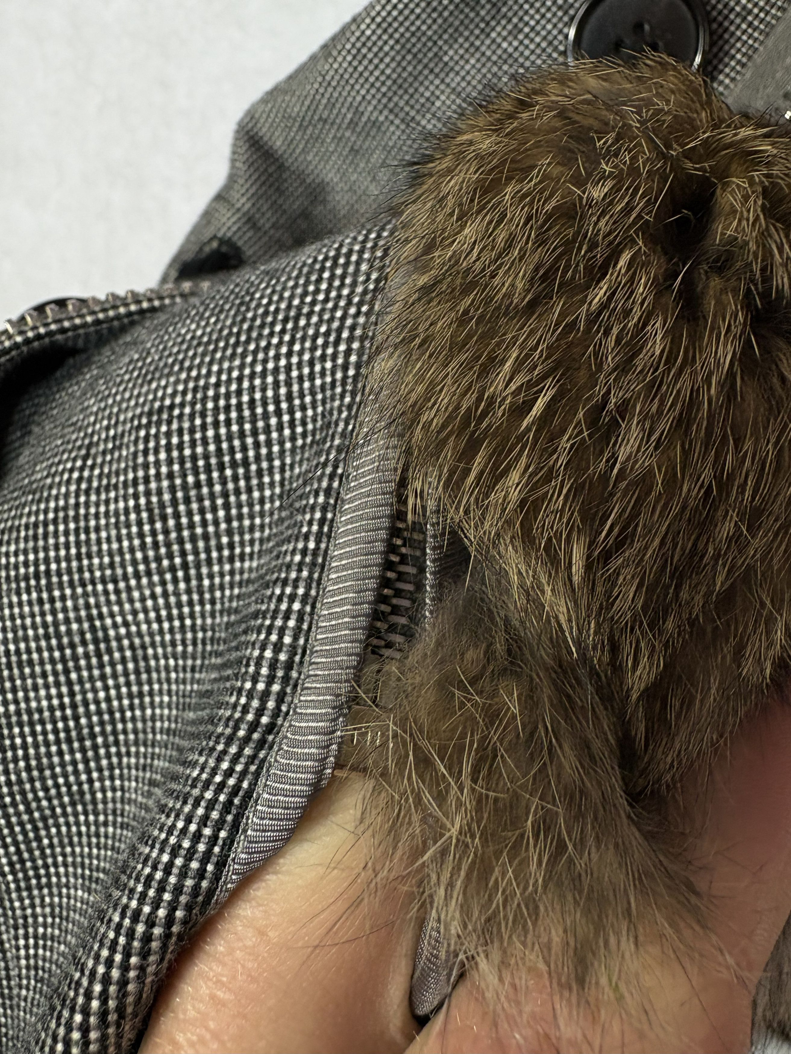 3.1 Phillip Lim 3.1 Philip Lim Parka Coat Rabbit Size XS / US 0-2 / IT 36-38 - 4 Thumbnail