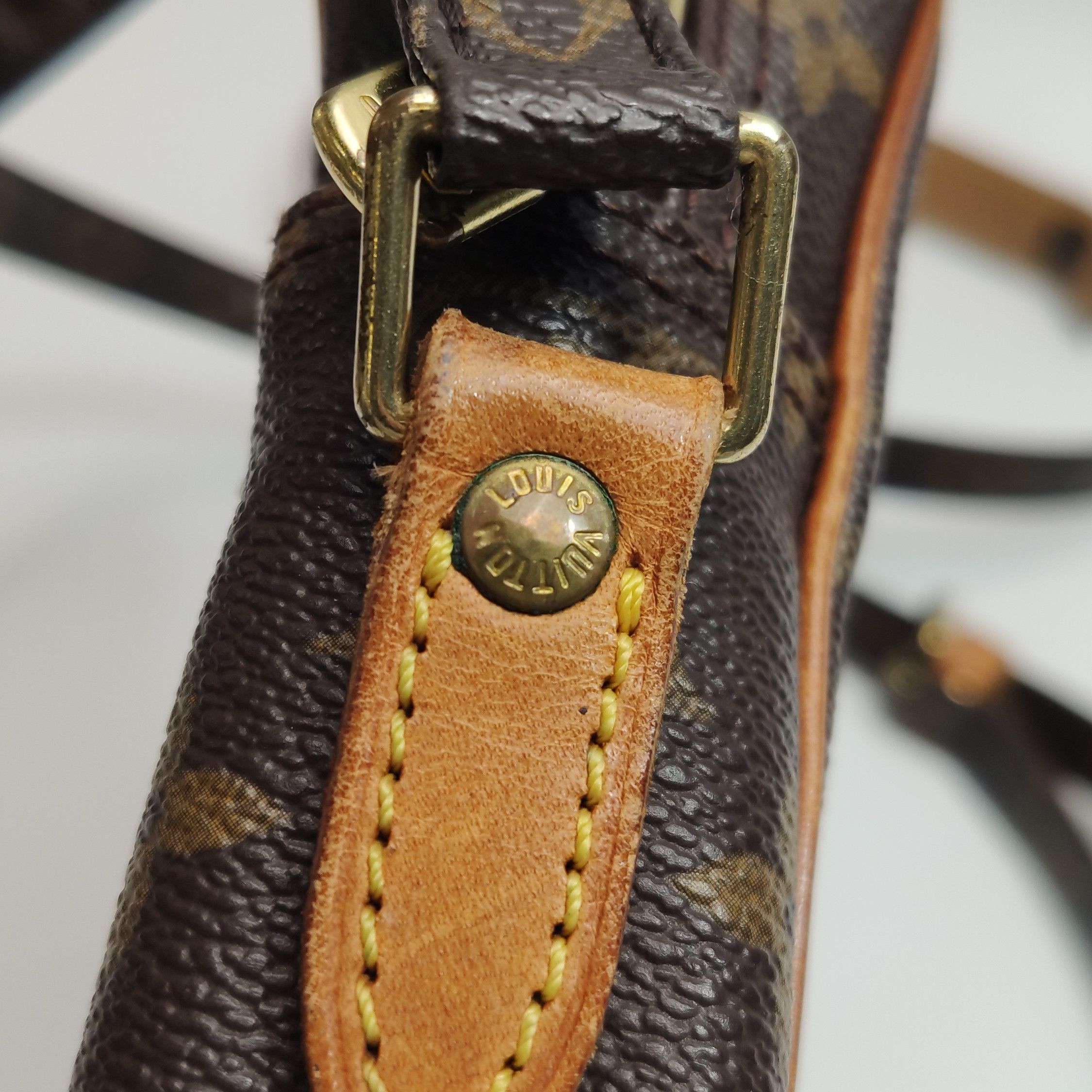 Louis Vuitton Louis Vuitton (LV) Amazone camera bag vegetable tanned leat Size ONE SIZE - 5 Thumbnail