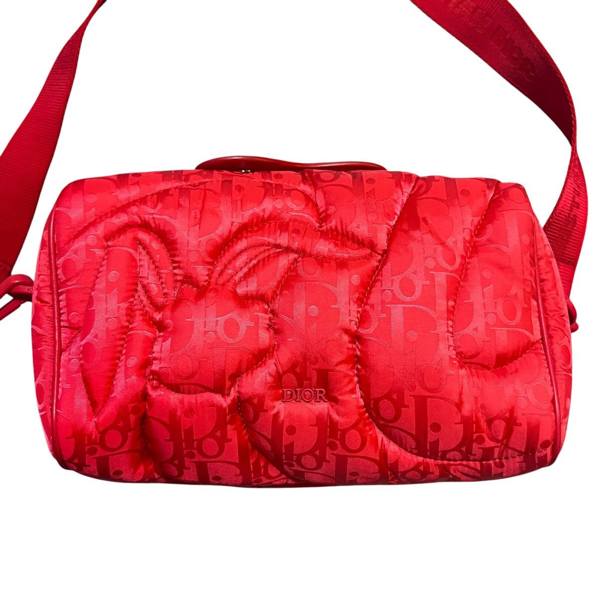 Dior × ERL DIOR x ERL 2023SS Mirage Quilted Rabbit Strap Zip Pouch Size ONE SIZE - 2 Thumbnail