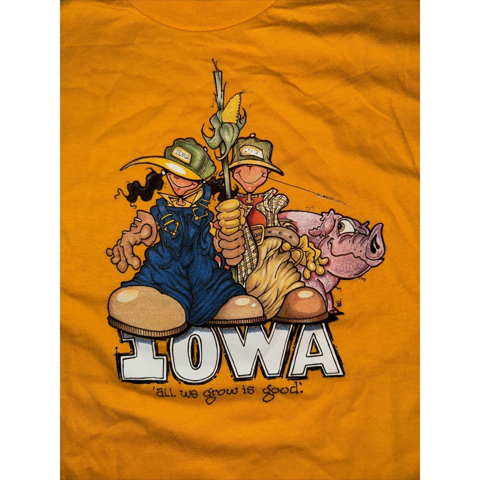 Vintage Prospirit Athletic Gear Iowa Farmers T-Shirt XL19x26.5 Size US XL / EU 56 / 4 - 2 Thumbnail