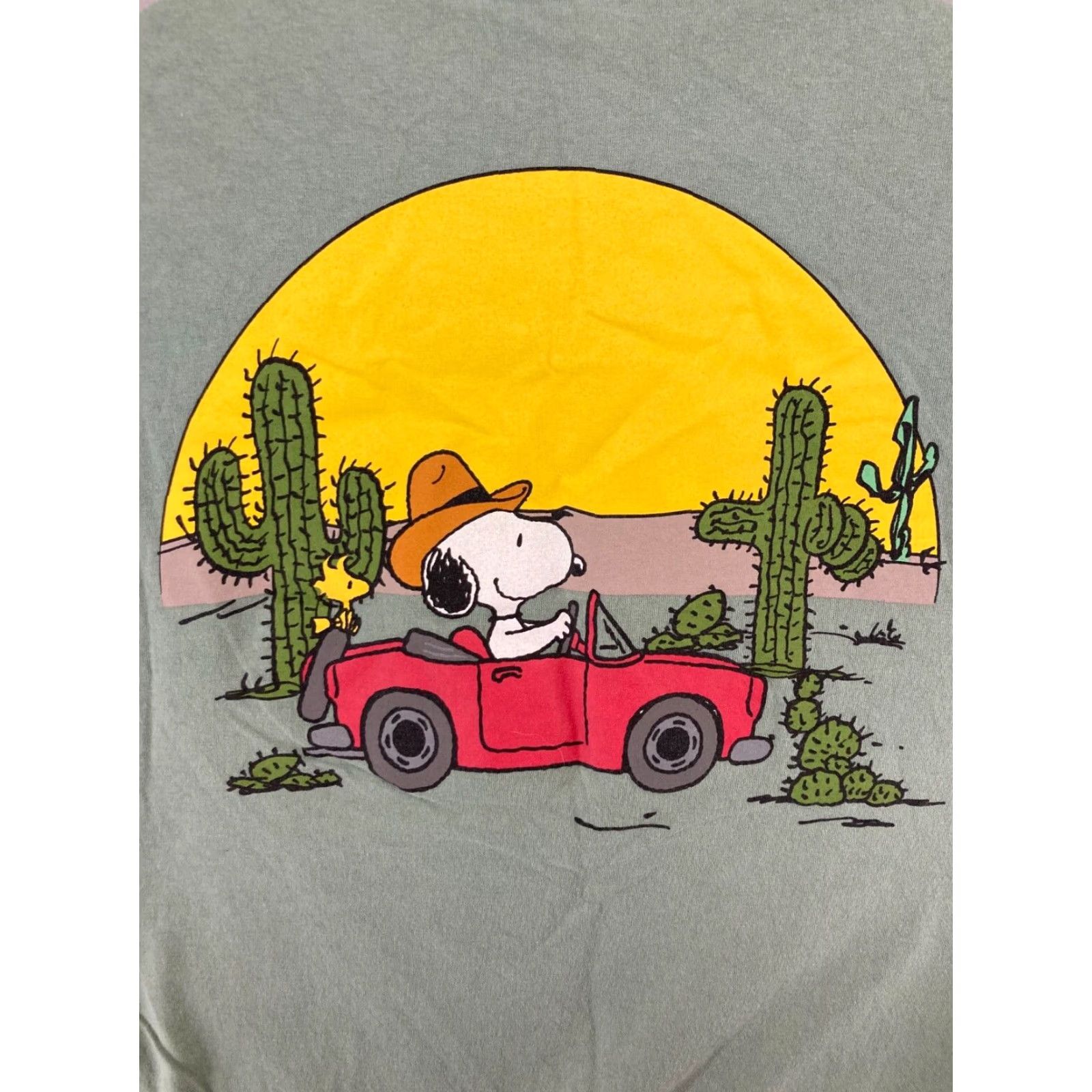 Peanuts Peanuts Graphic Print T-Shirt Women's Small Green Cowboy Snoopy Cap Sleeve Size S / US 4 / IT 40 - 7 Thumbnail