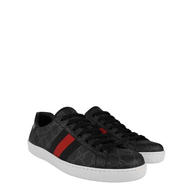 Gucci GUCCI Ace Gg Supreme Trainers Size US 8 / EU 41 - 4 Thumbnail