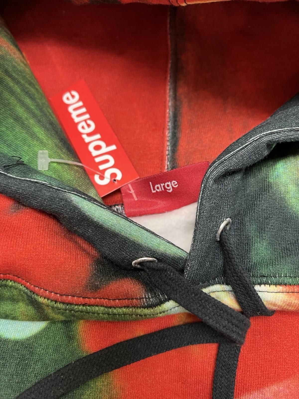 Supreme FW19 Supreme The Velvet Underground Nico Hooded Sweatshirt L Size US L / EU 52-54 / 3 - 4 Thumbnail
