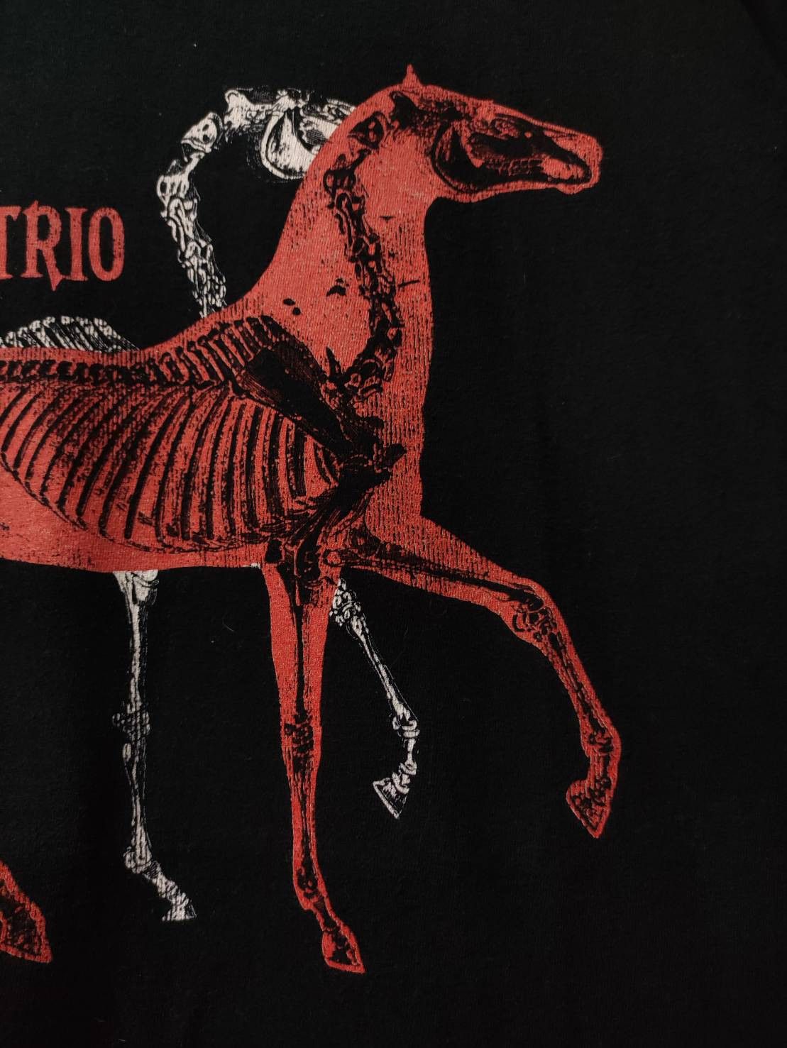 Band Tees Vtg 00's Alkaline Trio " Horse Skeleton " T-Shirt Size US XL / EU 56 / 4 - 4 Thumbnail