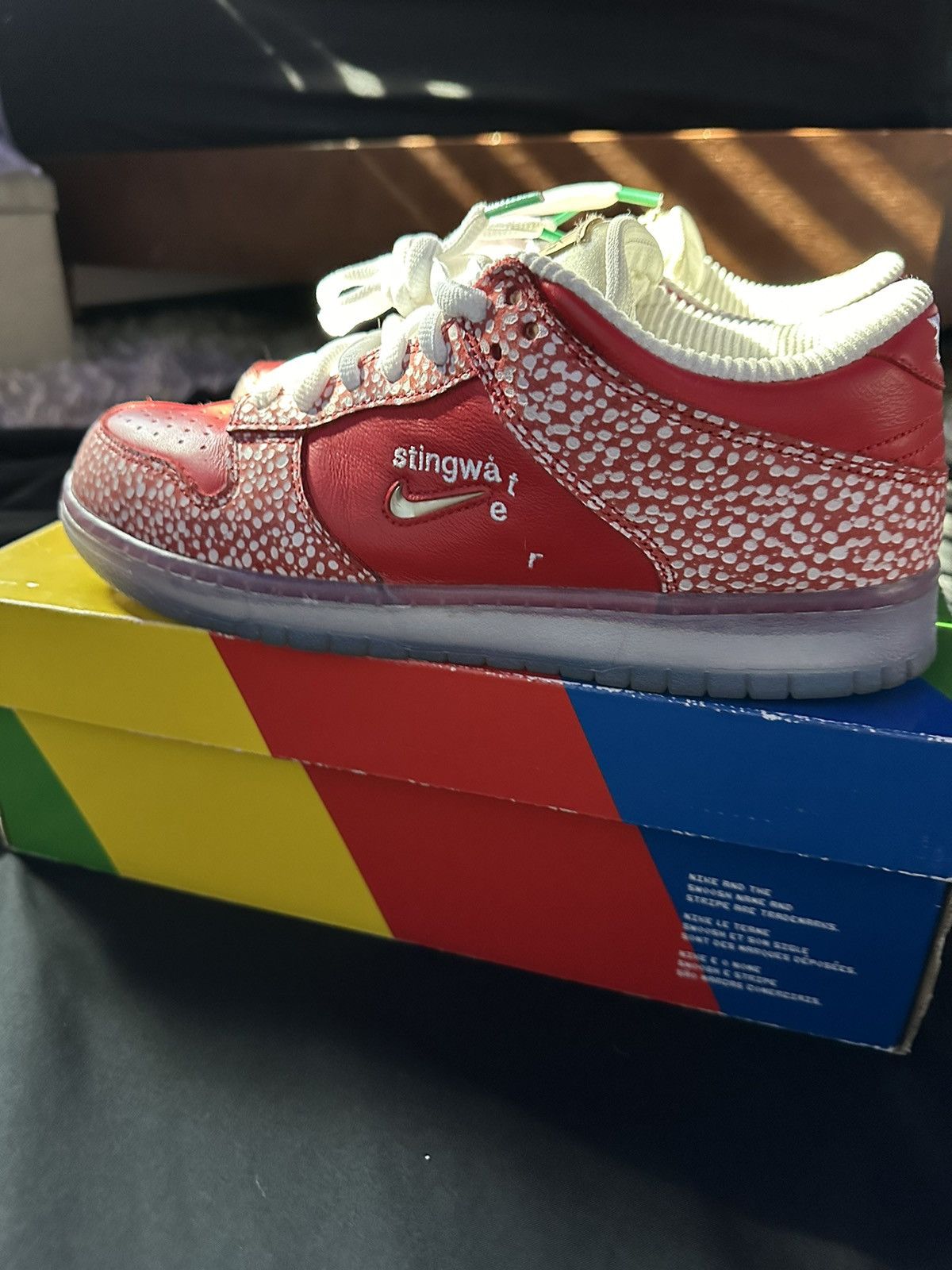 Nike × Stingwater LOW SB DUNK “STINGWATER” Size US 9.5 / EU 42-43 - 1 Thumbnail