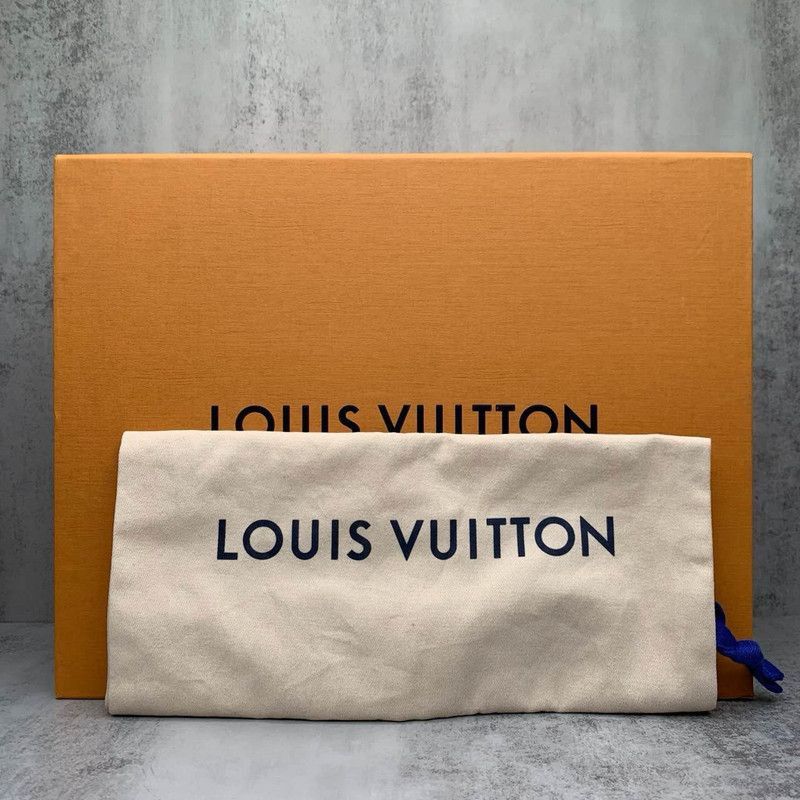 Louis Vuitton Louis Vuitton Trainer Low-Top Fashion Sneakers -2508 Size US 8.5 / EU 41-42 - 6 Thumbnail