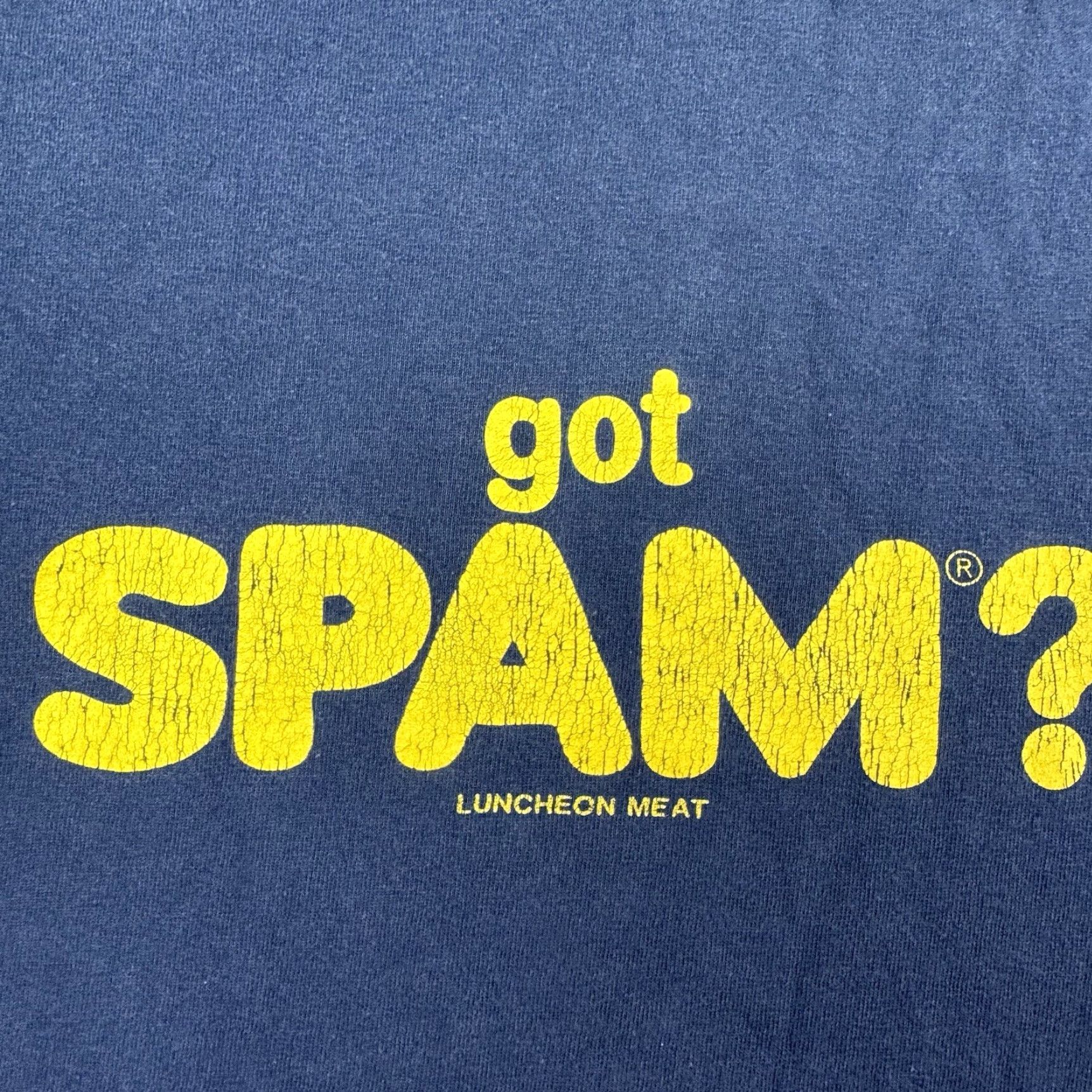 Vintage VINTAGE Spam T Shirt Adult 2XL Blue Cotton Men Short Sleeve Crew Neck Funny 90s Humor Parody Y2K Size US XXL / EU 58 / 5 - 4 Thumbnail