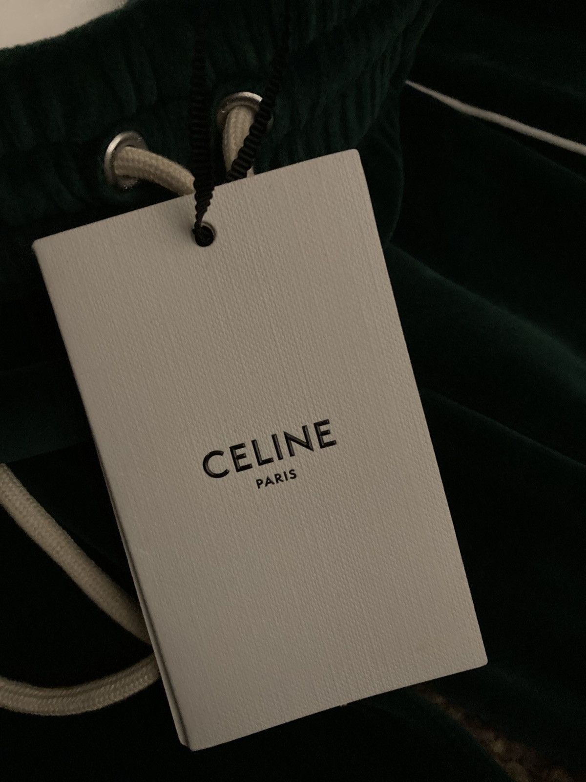 Celine × Hedi Slimane New SS23 Celine Velvet Track Pants Green 2023 Logo Velour 90 Size US 30 / EU 46 - 10 Thumbnail