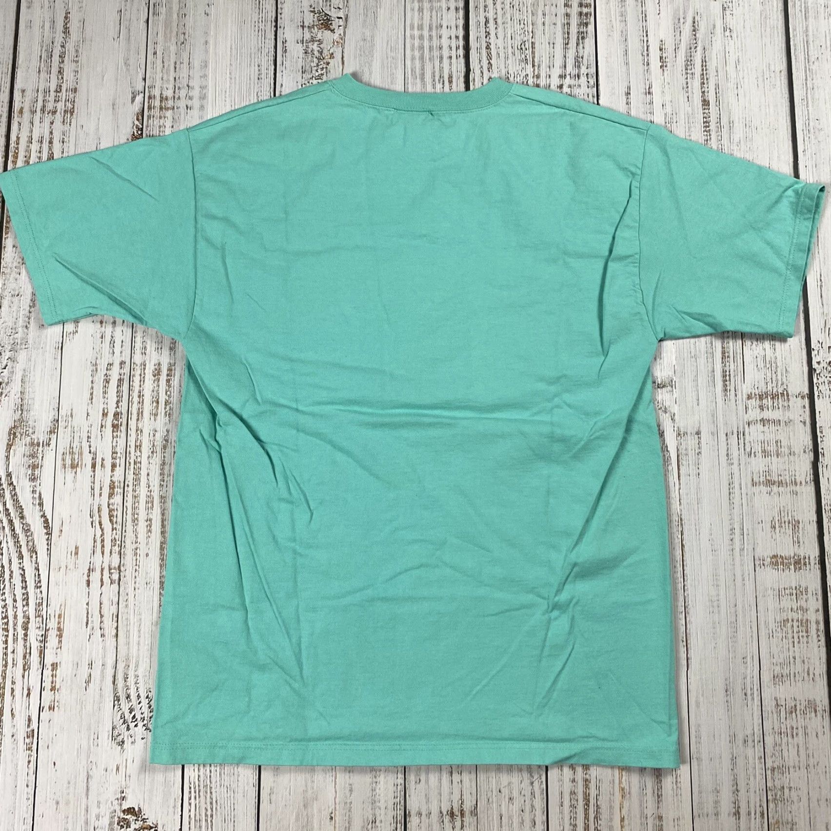 Vintage VINTAGE TOP THREADS Seagulls Beach T-Shirt M SEAFOAM GREEN USA 2000s Unisex Adult Size US M / EU 48-50 / 2 - 5 Thumbnail