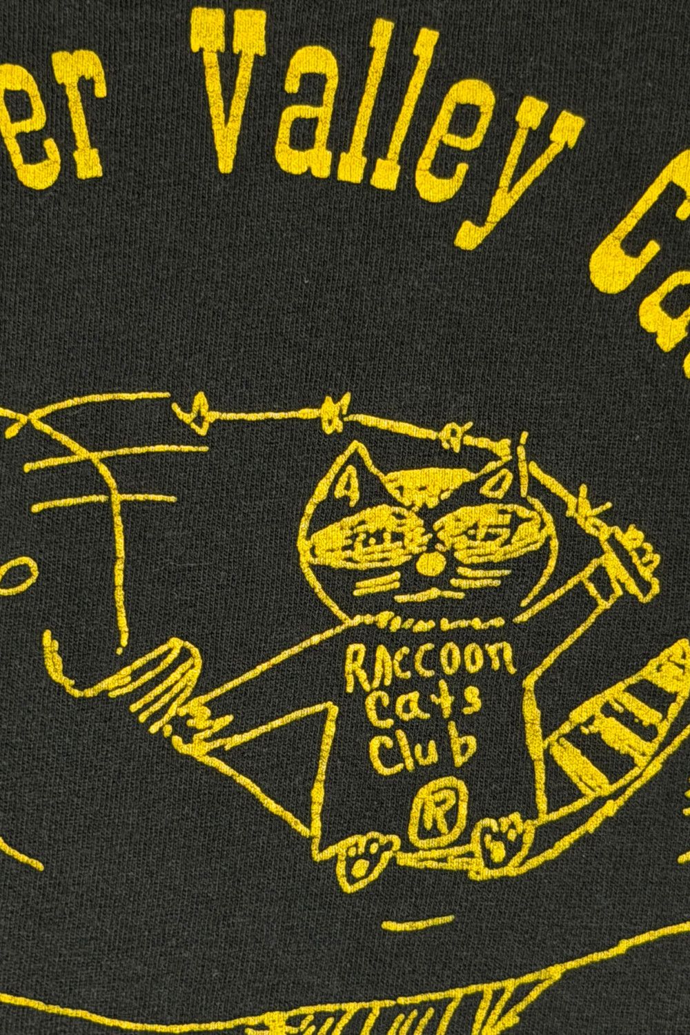 Hanes 90s Raccoon River Valley Catfish Club Pocket Tee Hanes XL Size US XL / EU 56 / 4 - 5 Thumbnail