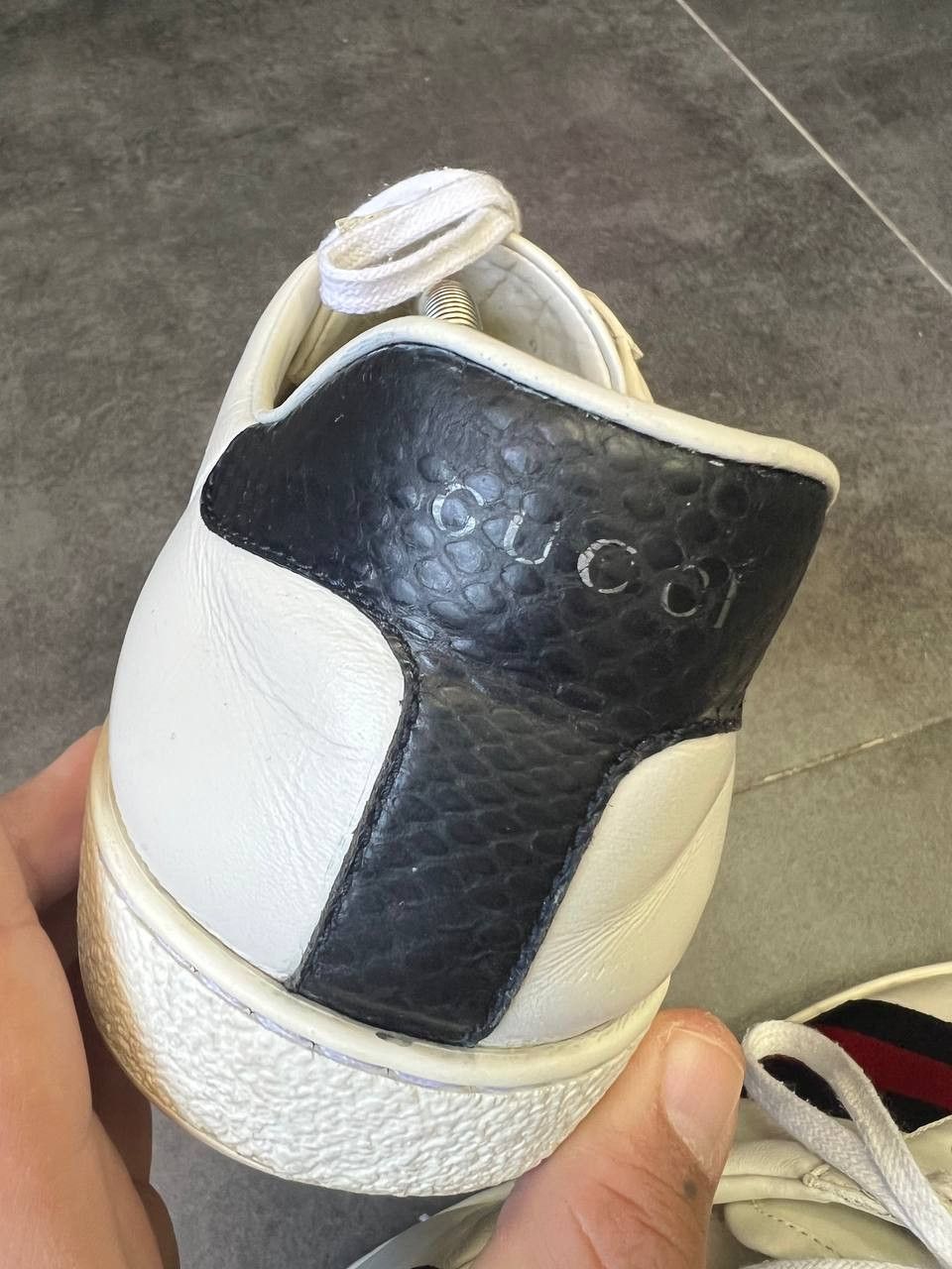 Gucci Gucci Web Ace Sneaker Gucci Size US 13 / EU 46 - 6 Thumbnail