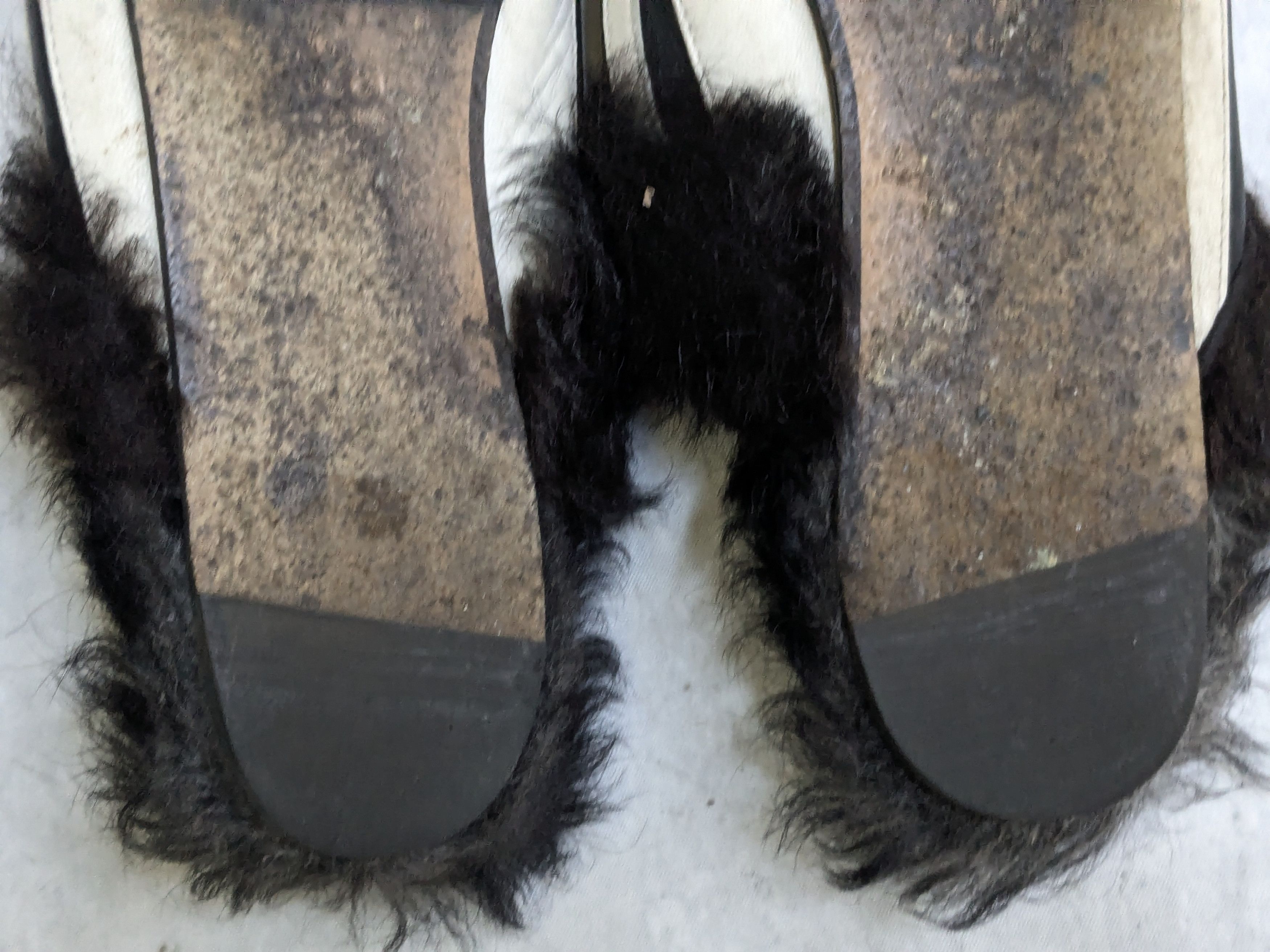 Gucci Gucci Horsebit Loafers White Black Leather 7 40 Princetown Size US 7 / EU 40 - 15 Thumbnail