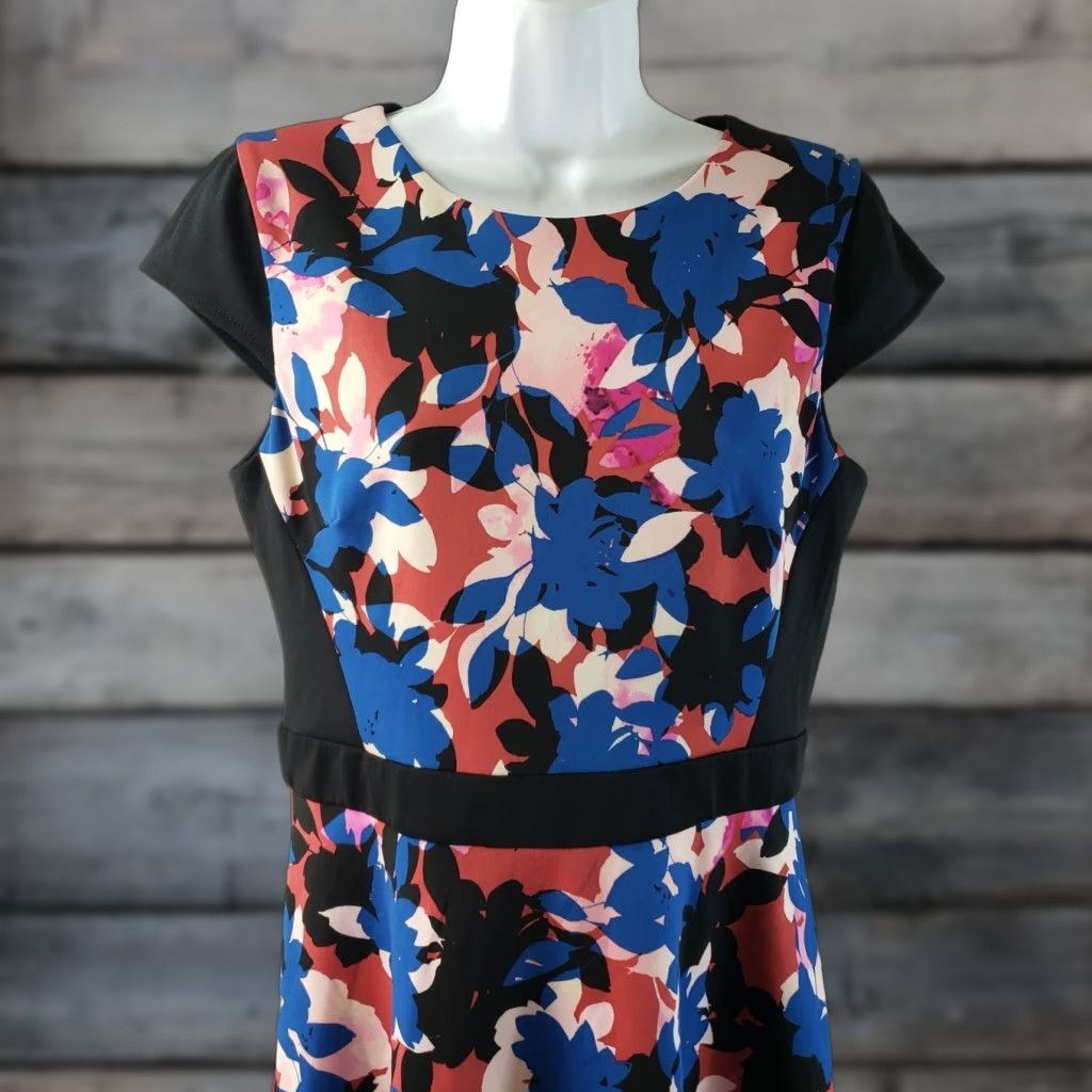 Pinko Wisp Dress Women's Floral Cap Sleeve Pink Blue Size 10 Knee Length Fit & Flare Printed Size L / US 10 / IT 46 - 1 Thumbnail