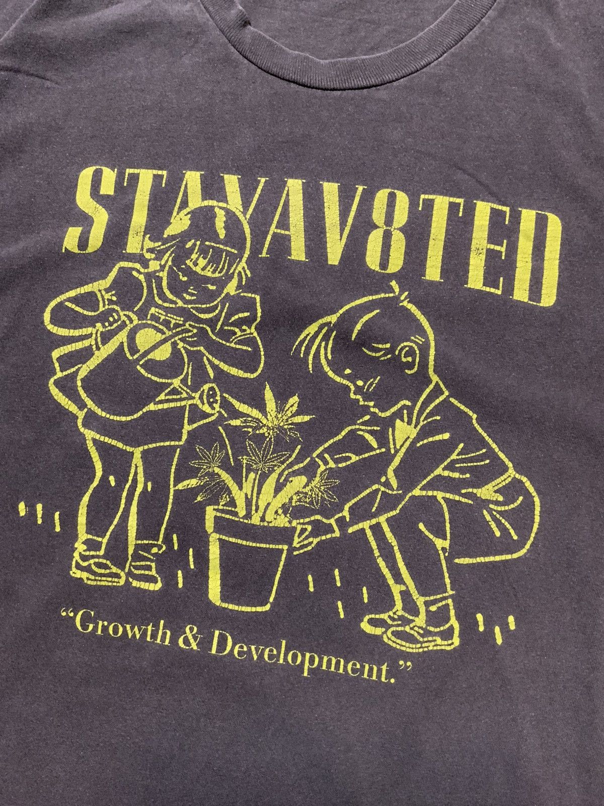 Other StayAv8Ted Growth & Development Marijuana Plant T-Shirt Size US M / EU 48-50 / 2 - 1 Thumbnail