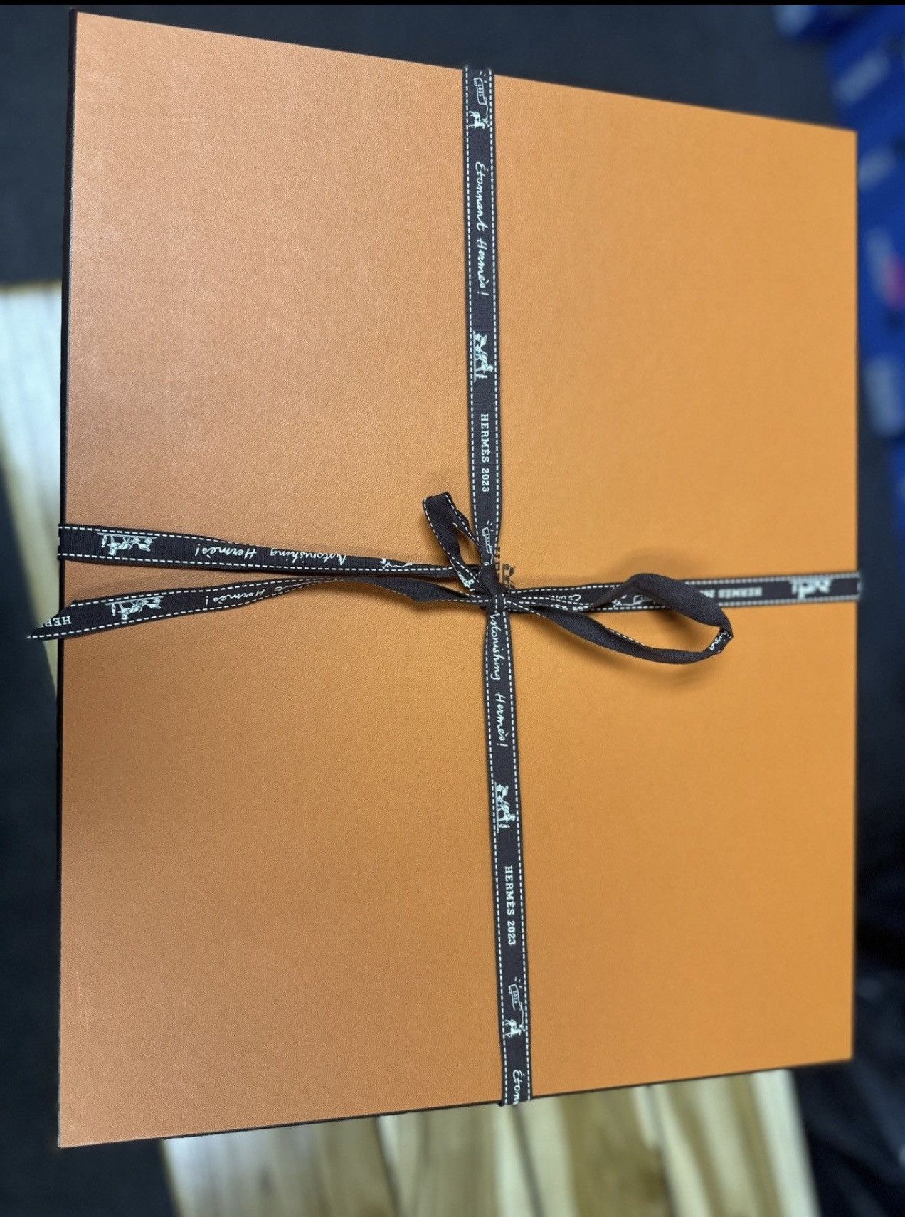 Hermes Hermès In-the-Loop Size ONE SIZE - 9 Thumbnail