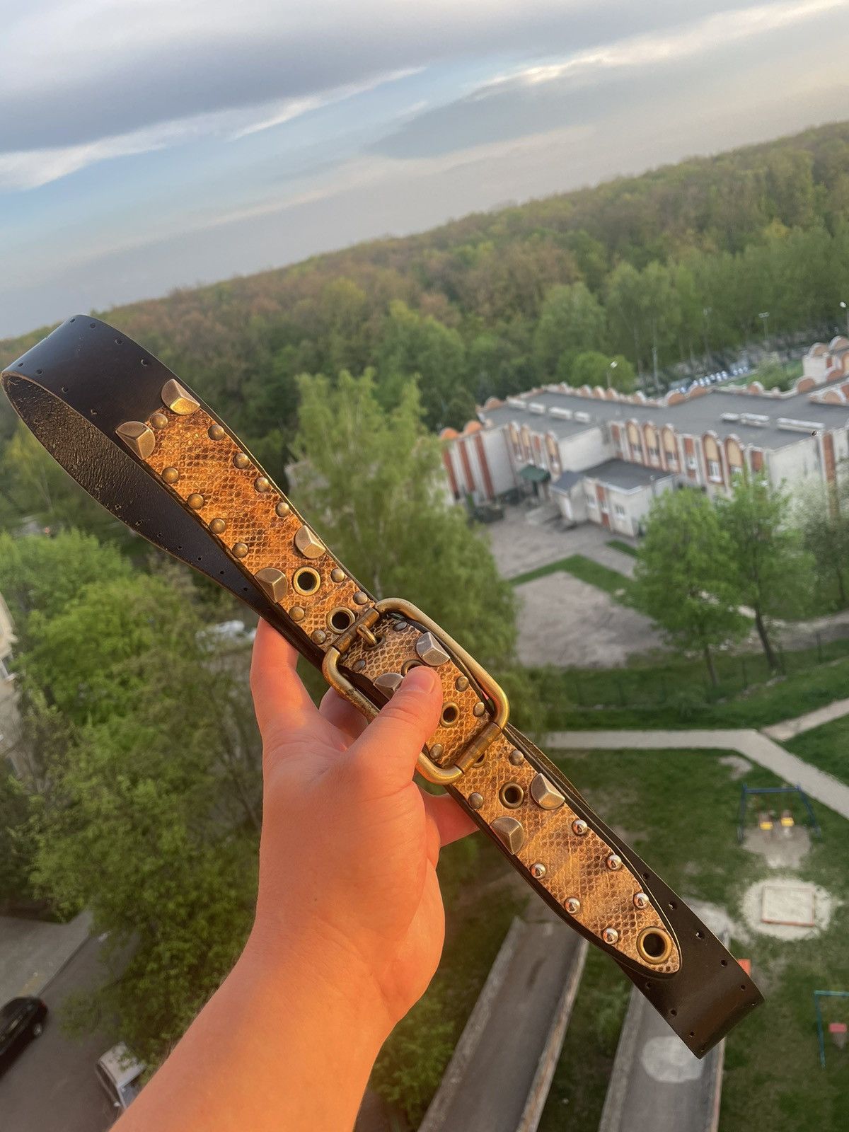 Dolce & Gabbana Vintage 2000’s Studded Snake Patch Belt