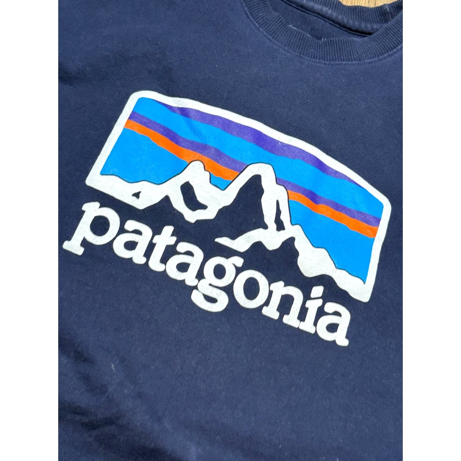 Patagonia Patagonia Sweater Men's Large Blue Logo Graphic Print Crewneck Pullover Size US L / EU 52-54 / 3 - 5 Thumbnail