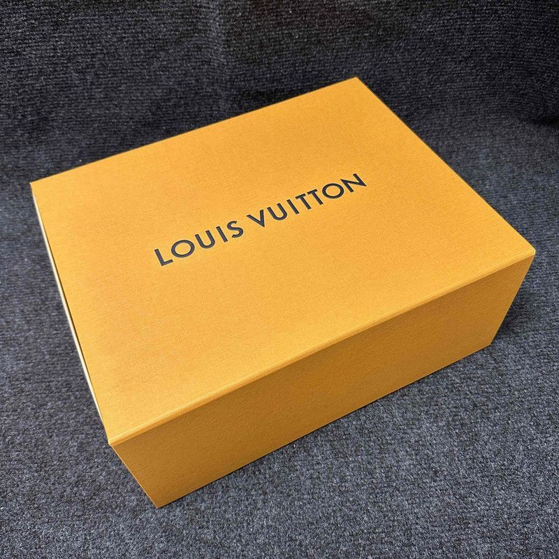 Louis Vuitton Louis Vuitton Stylish Leather Low-Top Sneakers -2508 Size US 9.5 / EU 42-43 - 6 Thumbnail