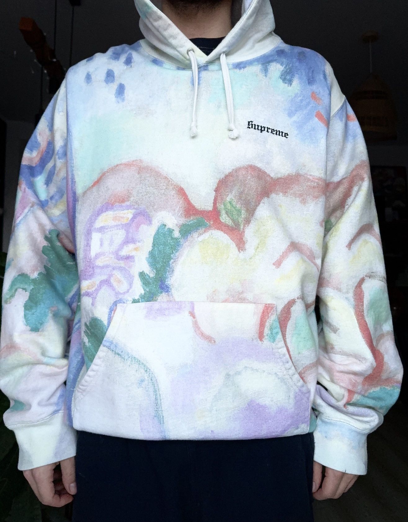 Supreme Landscape Hoodie | Grailed