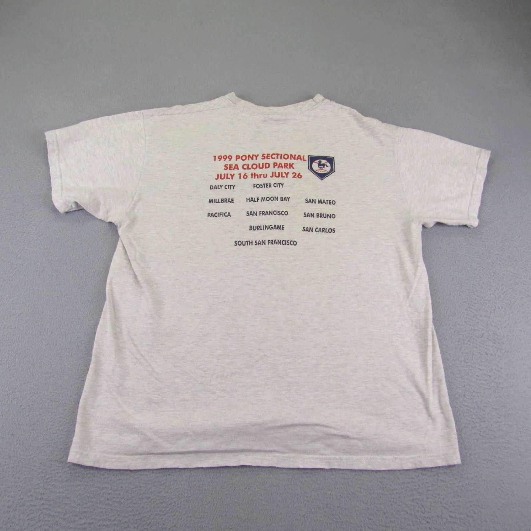 Hanes VINTAGE Hanes Baseball Shirt Mens Large Gray 90s California Outdoor Sports 1999 Sectional Shirt Mens Size US L / EU 52-54 / 3 - 6 Thumbnail