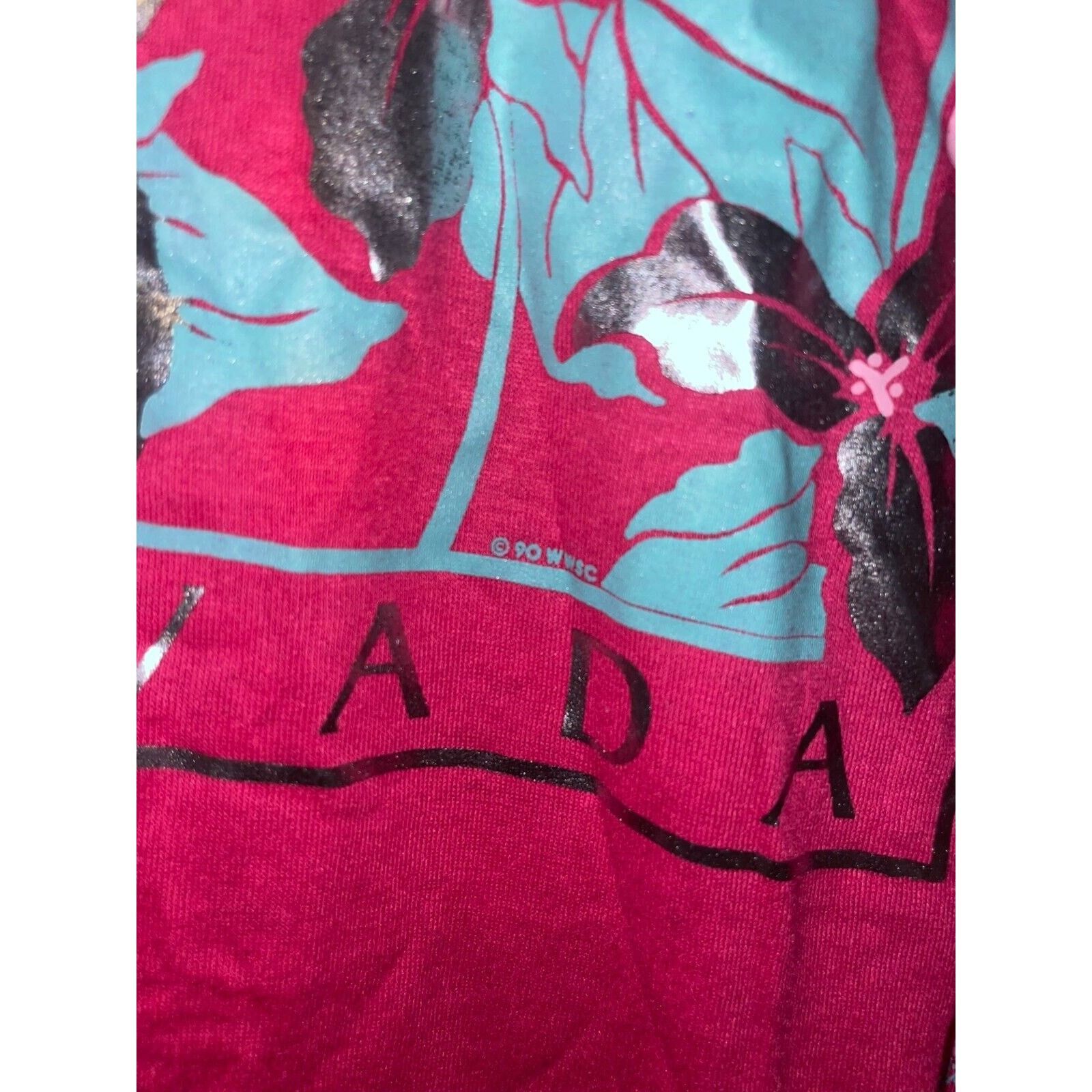 Jerzees Vintage Test Print Shirt Lake Tahoe Napa Bears Tee VTG 90s L Size US L / EU 52-54 / 3 - 6 Thumbnail