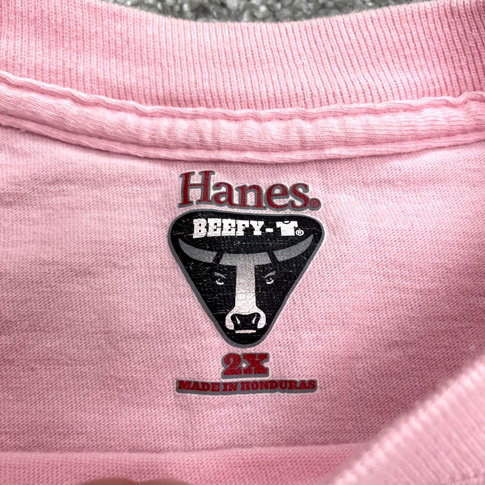 Hanes Hanes Beef-T Basic T-Shirt Mens 2XL Pink Crew Neck Short Sleeve Essential Tee Shirt Mens Regular Cotton Knit Logo Vintage: No Size US XXL / EU 58 / 5 - 5 Thumbnail