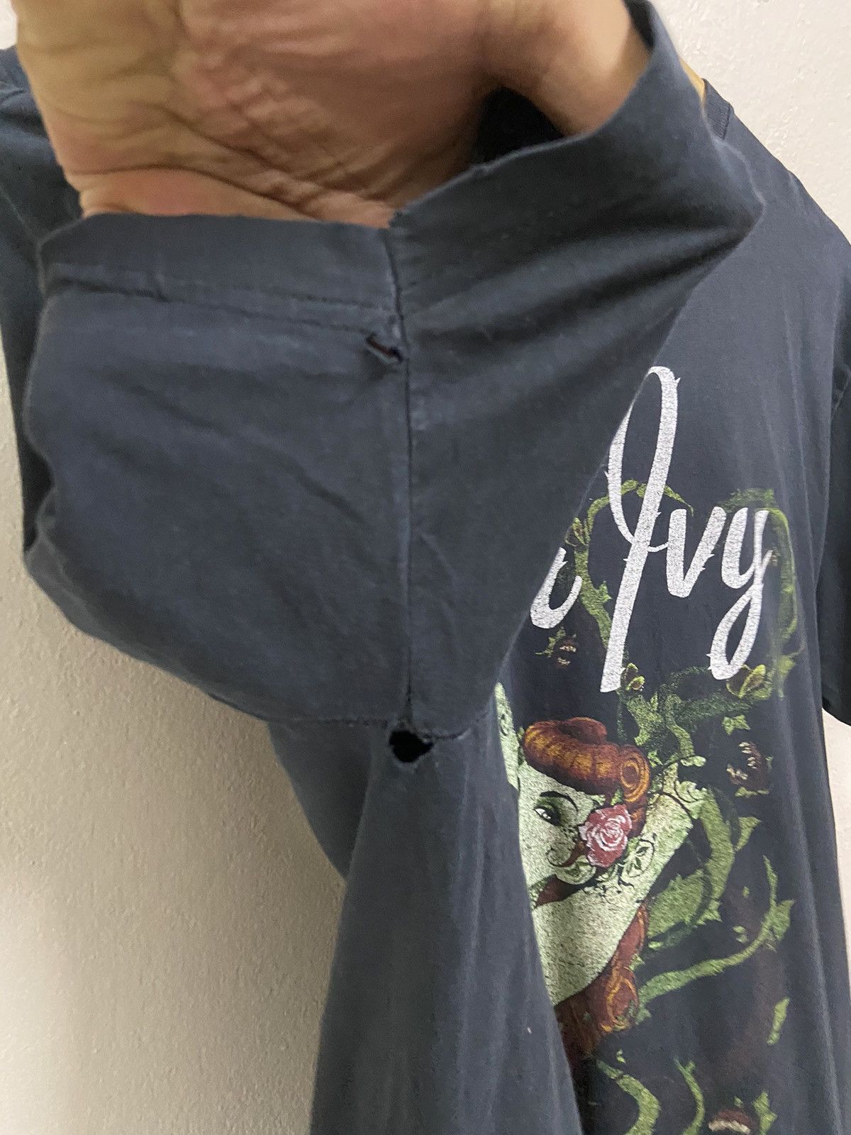 DC Comics DC comics poison ivy graphic tee Size US L / EU 52-54 / 3 - 7 Thumbnail