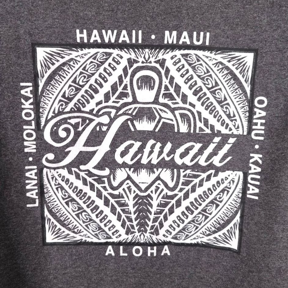 Hanes Hanes Hawaii T Shirt Mens Size Medium Gray Maui Oahu Kauai Aloha Lanai Molokai Tribal Art Crew Neck Short Sleeve 2010-2019 Vintage No Size US M / EU 48-50 / 2 - 5 Thumbnail