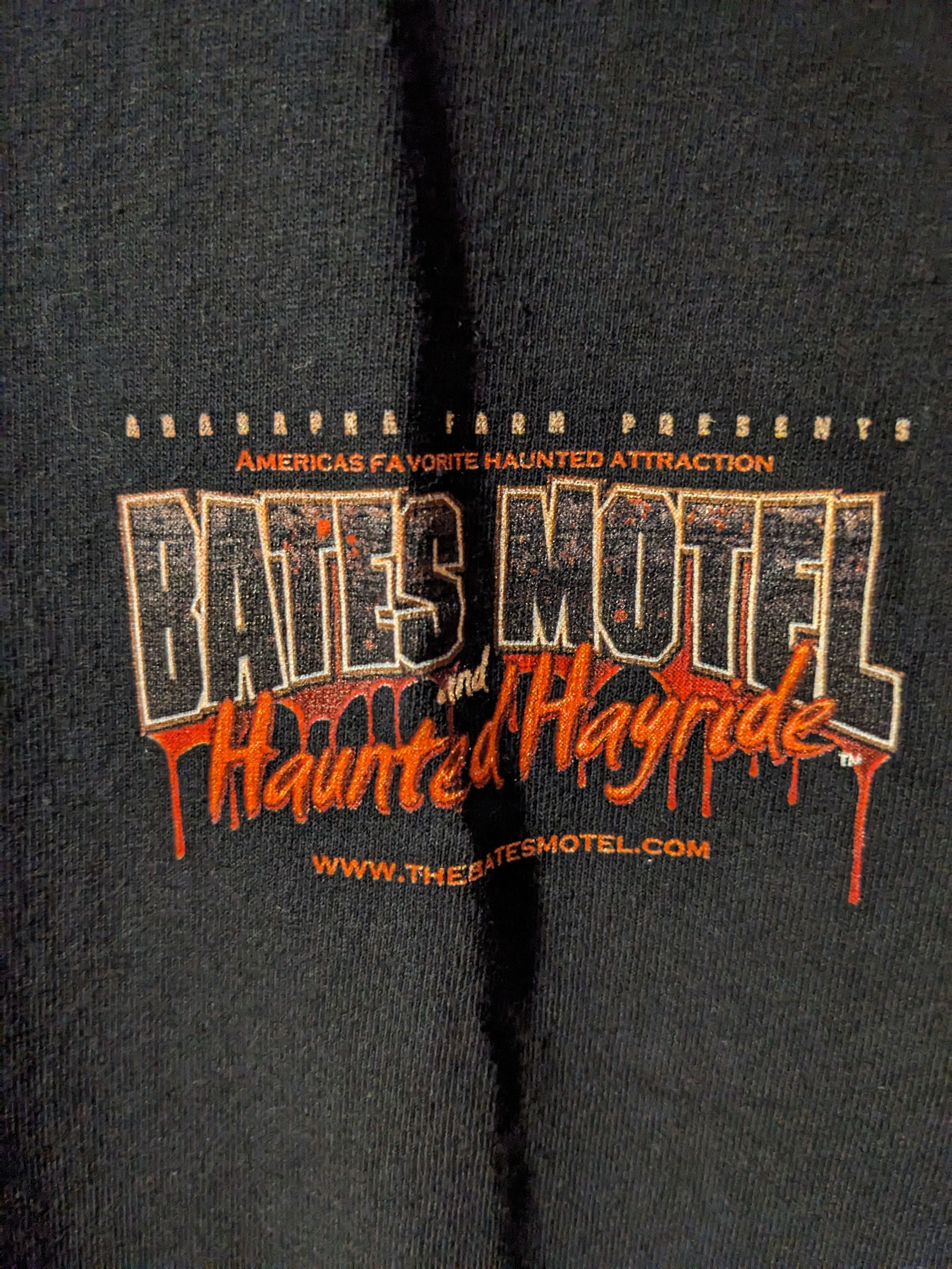 Expert Horror × Universal Studios Bates Motel & Haunted Hayride Halloween Horror T-Shirt Size US M / EU 48-50 / 2 - 4 Thumbnail