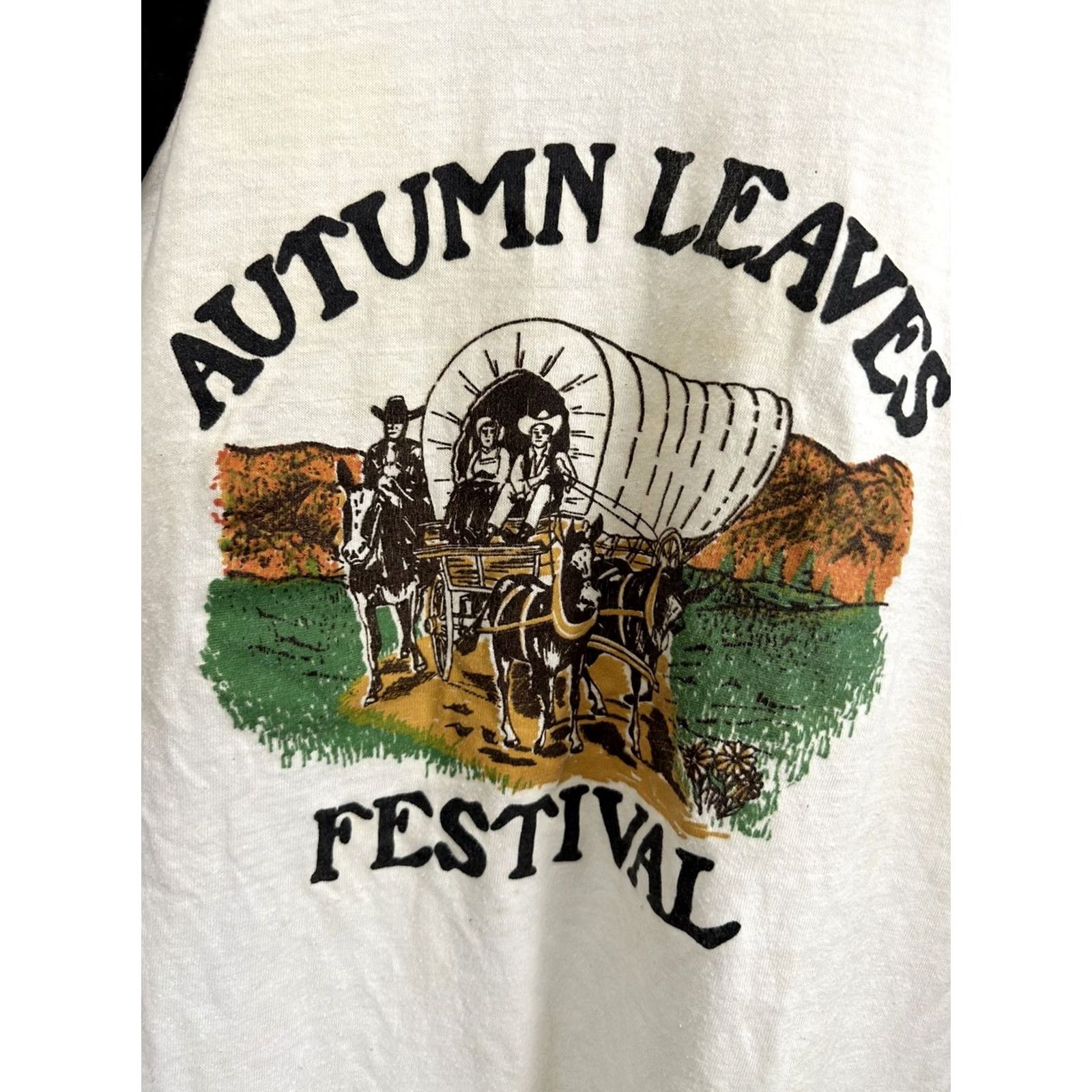 Hanes VTG 80s Autumn Leaves Festival MT Airy NC Raglan Paper Thin T-Shirt Size L Size US L / EU 52-54 / 3 - 3 Thumbnail
