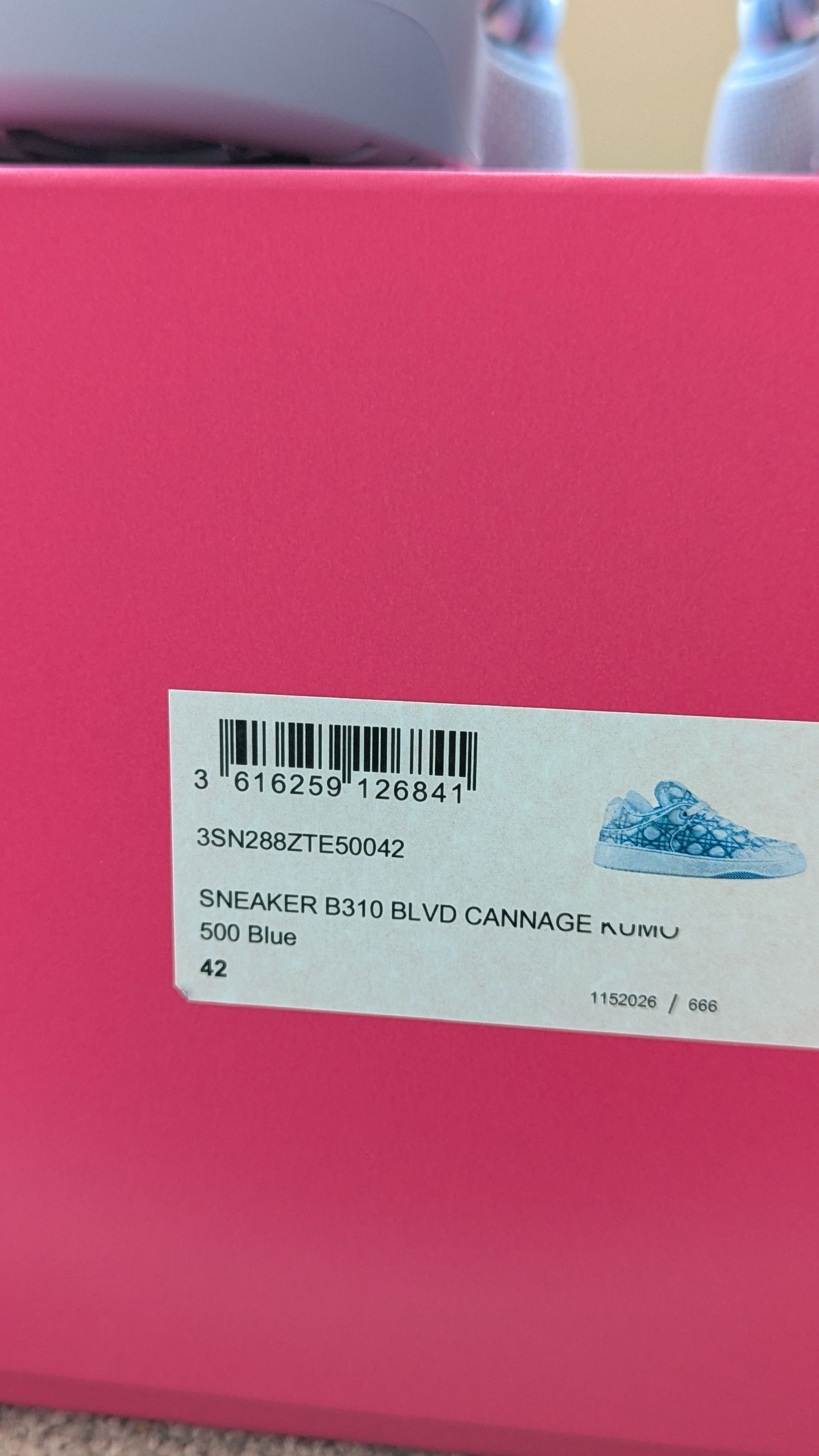 Dior × ERL Dior ERL B9S Sneaker Blue Cannage Colorway EU42 UK8 Size US 9 / EU 42 - 12 Thumbnail