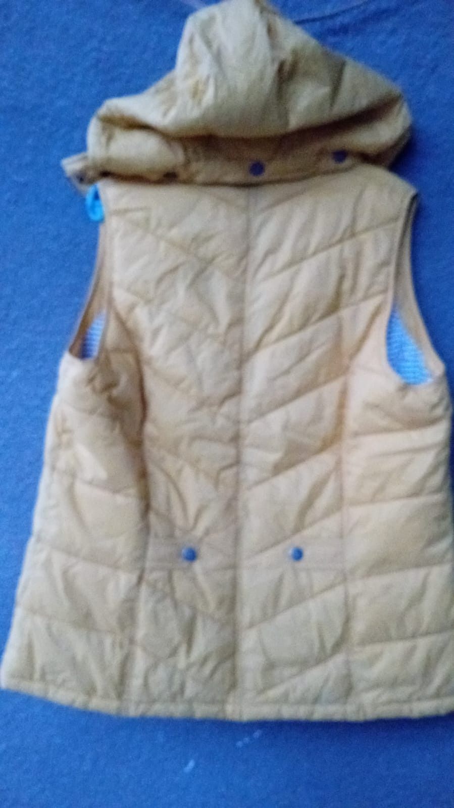 Barbour Barbour Womens Foreland Gilet Fibredown LQU0616YE51 Size L / US 10 / IT 46 - 8 Thumbnail