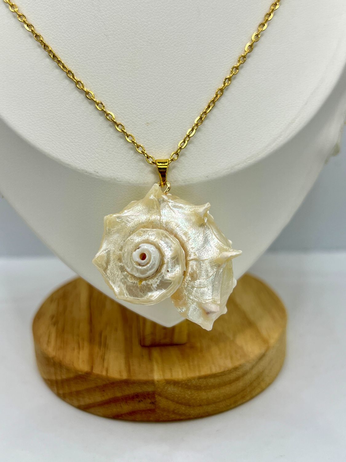 Jewelry Seashell Gold Chain Necklace Size ONE SIZE - 3 Thumbnail
