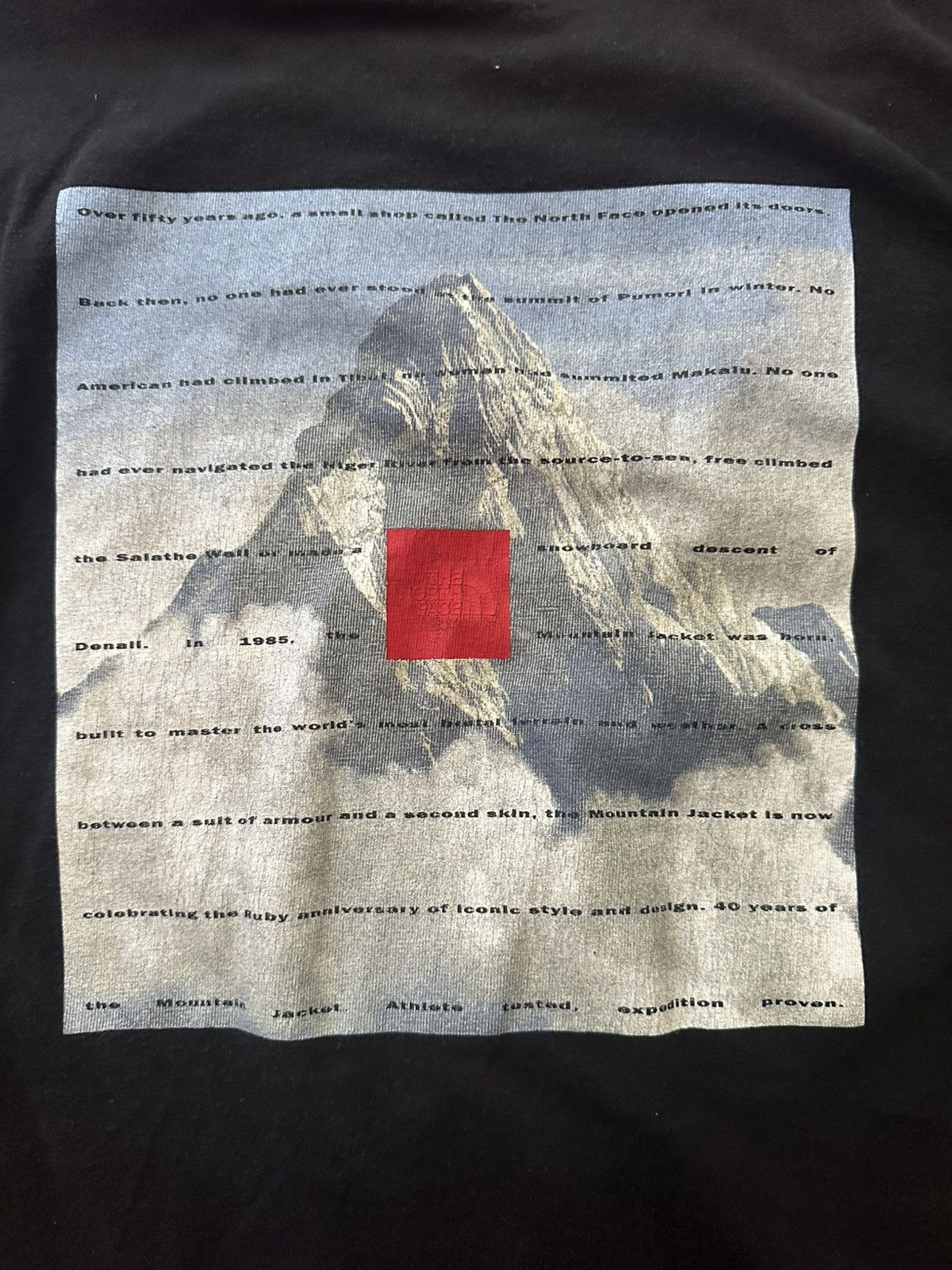 The North Face North face mountain tee Size US M / EU 48-50 / 2 - 1 Thumbnail