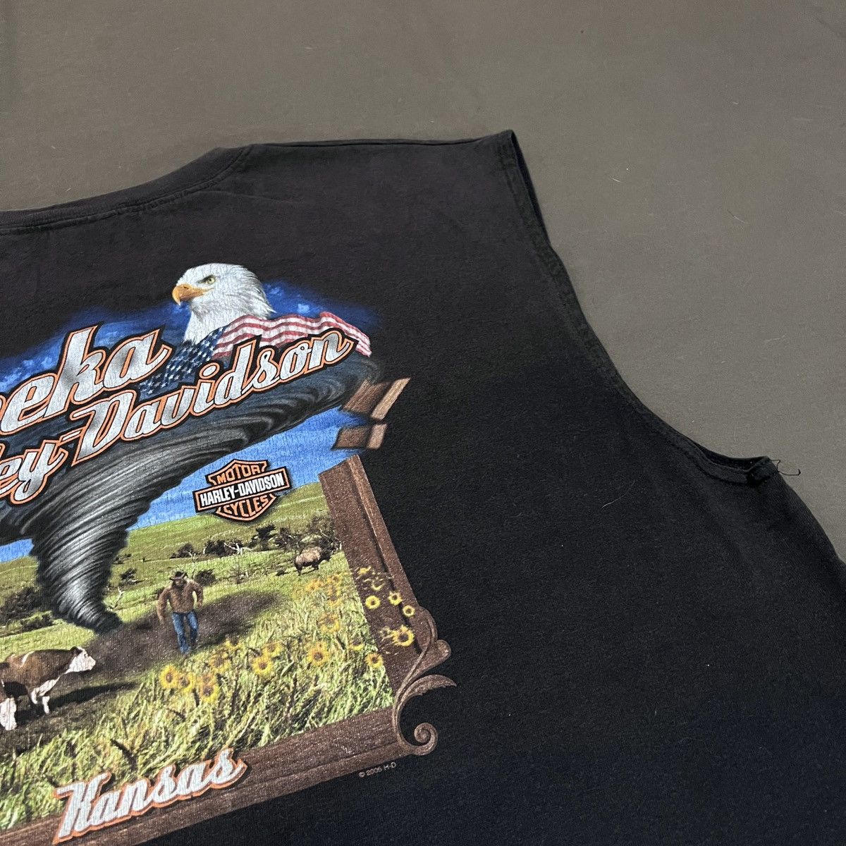 Harley Davidson Vintage Y2K Harley Davidson Topeka Kansas Sleeveless Shirt Size US XL / EU 56 / 4 - 6 Thumbnail