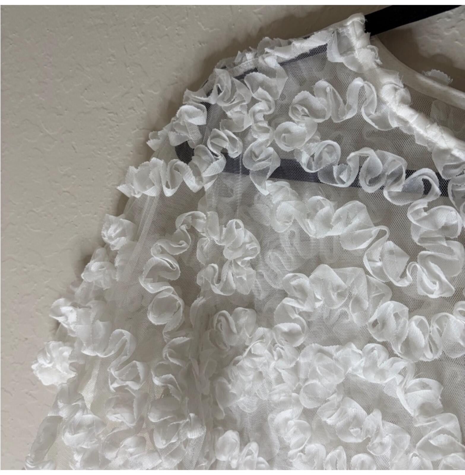 Other (Mele E Pere) Elegant Sheer Ruffled Blouse Size M / US 6-8 / IT 42-44 - 4 Thumbnail