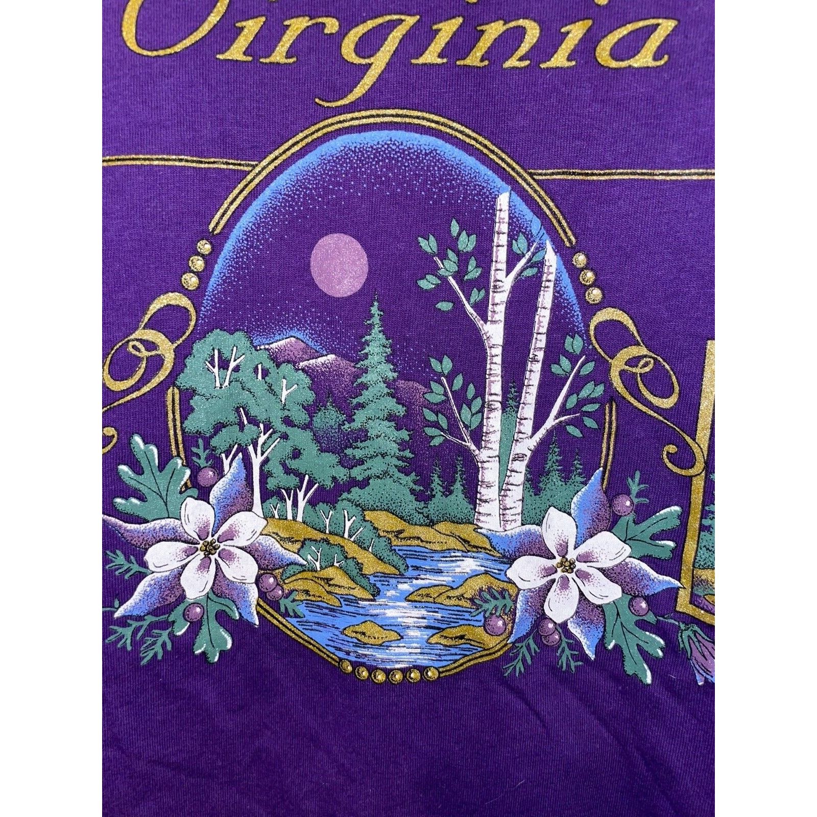 Jerzees Vintage Virginia Shirt Mountains Purple Tee VTG 90s Large Size US L / EU 52-54 / 3 - 2 Thumbnail